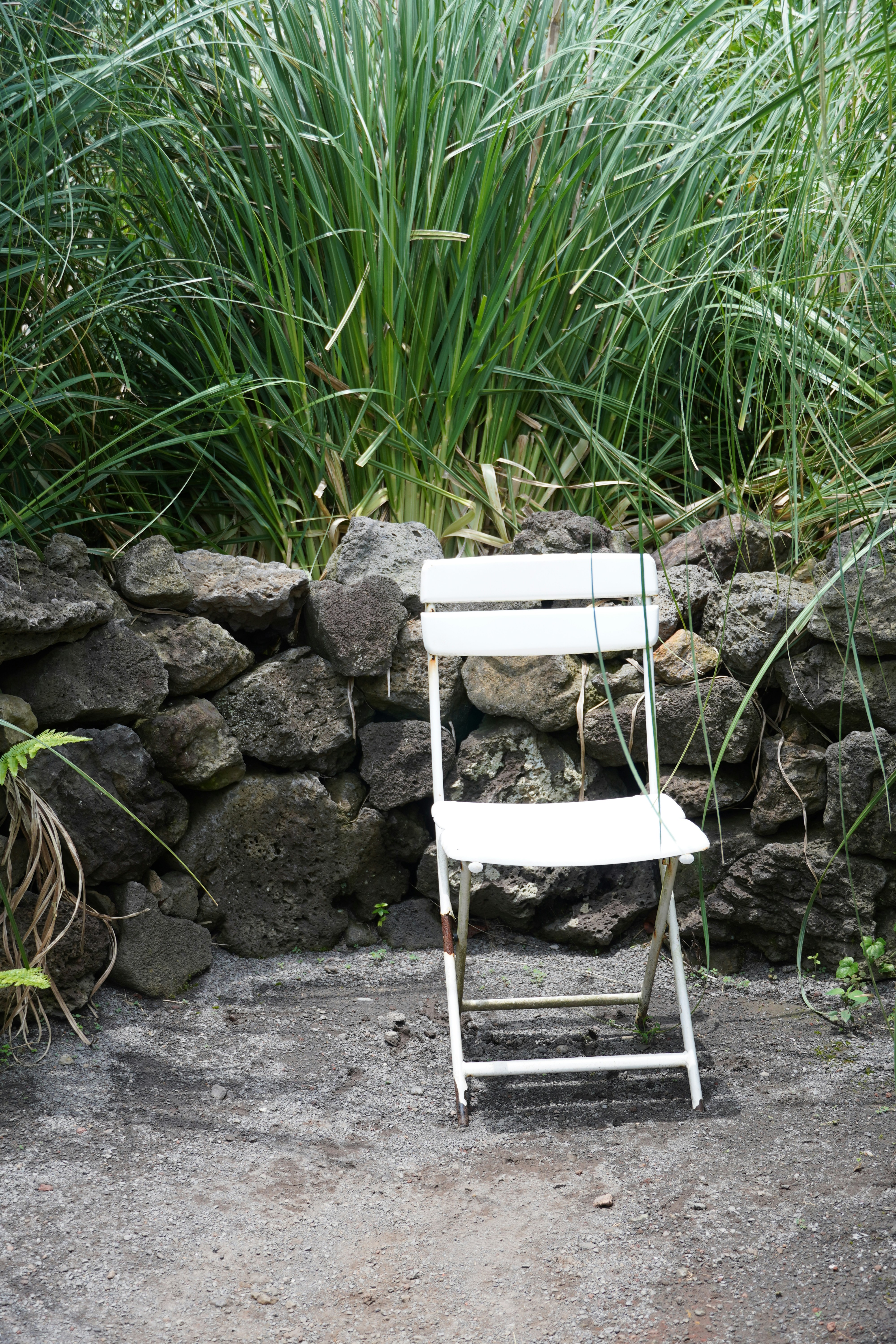 Photo by lifeinkorea