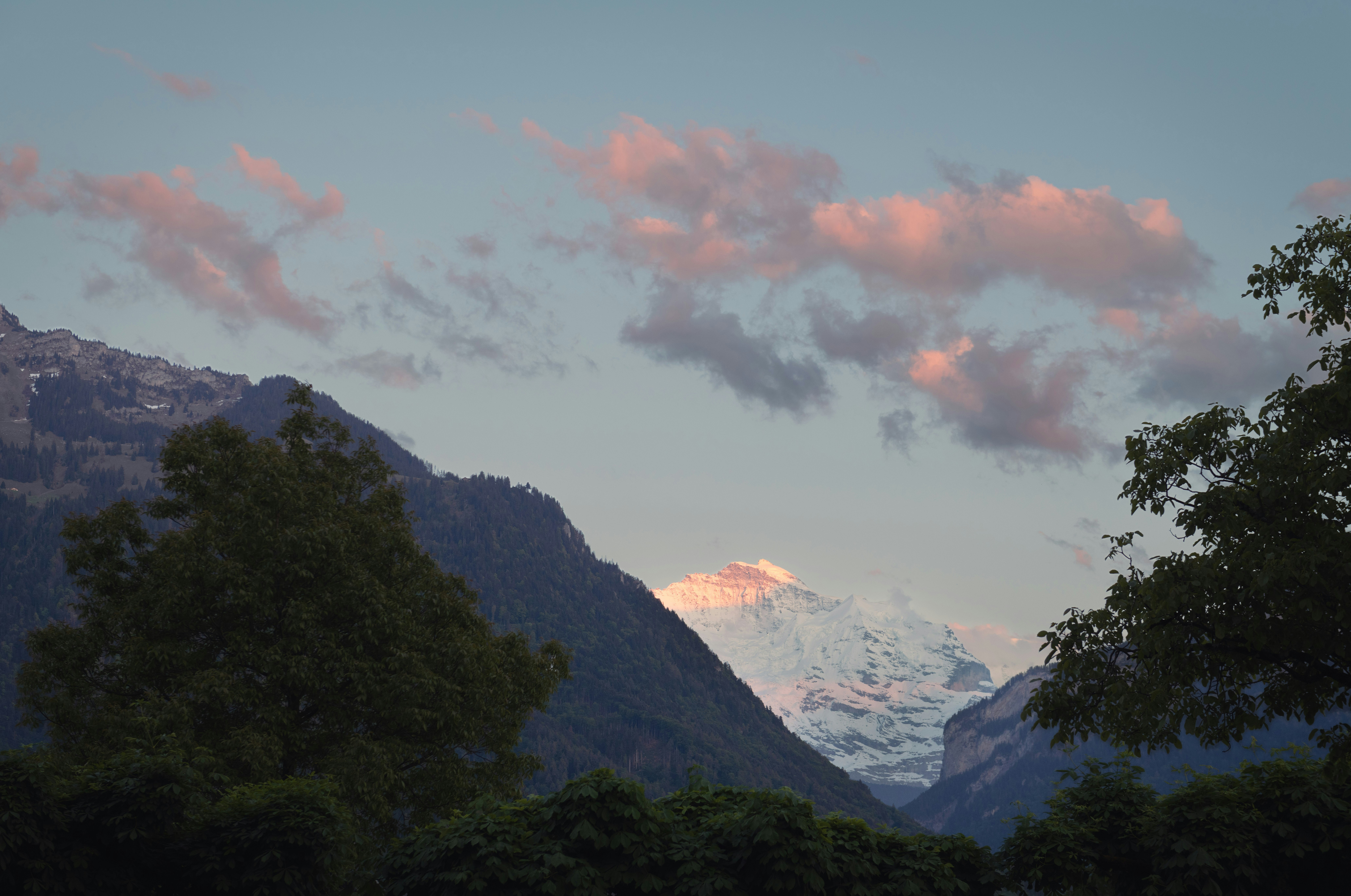 Photo by sriniunsplash