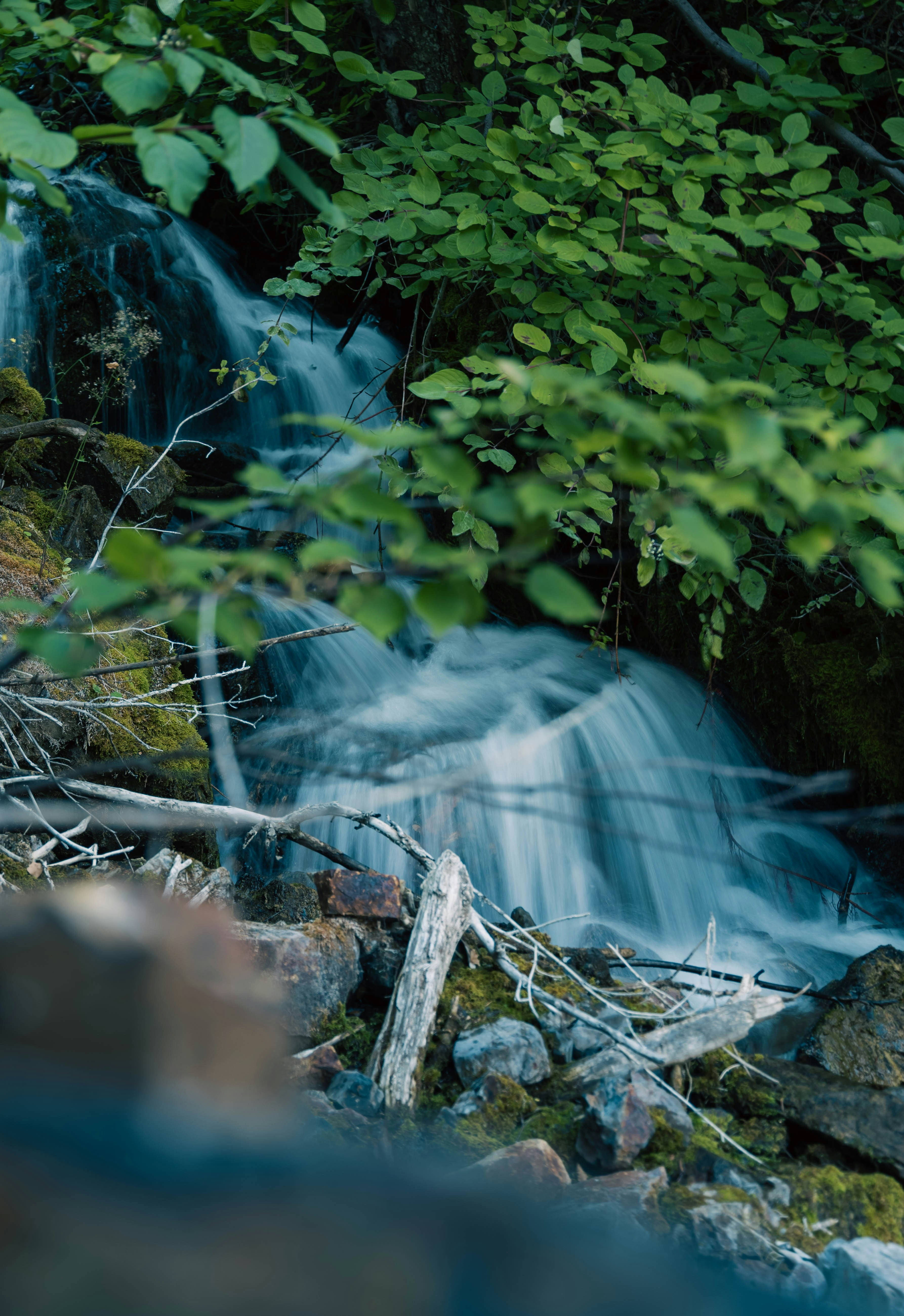 Photo by carbonmonoxide