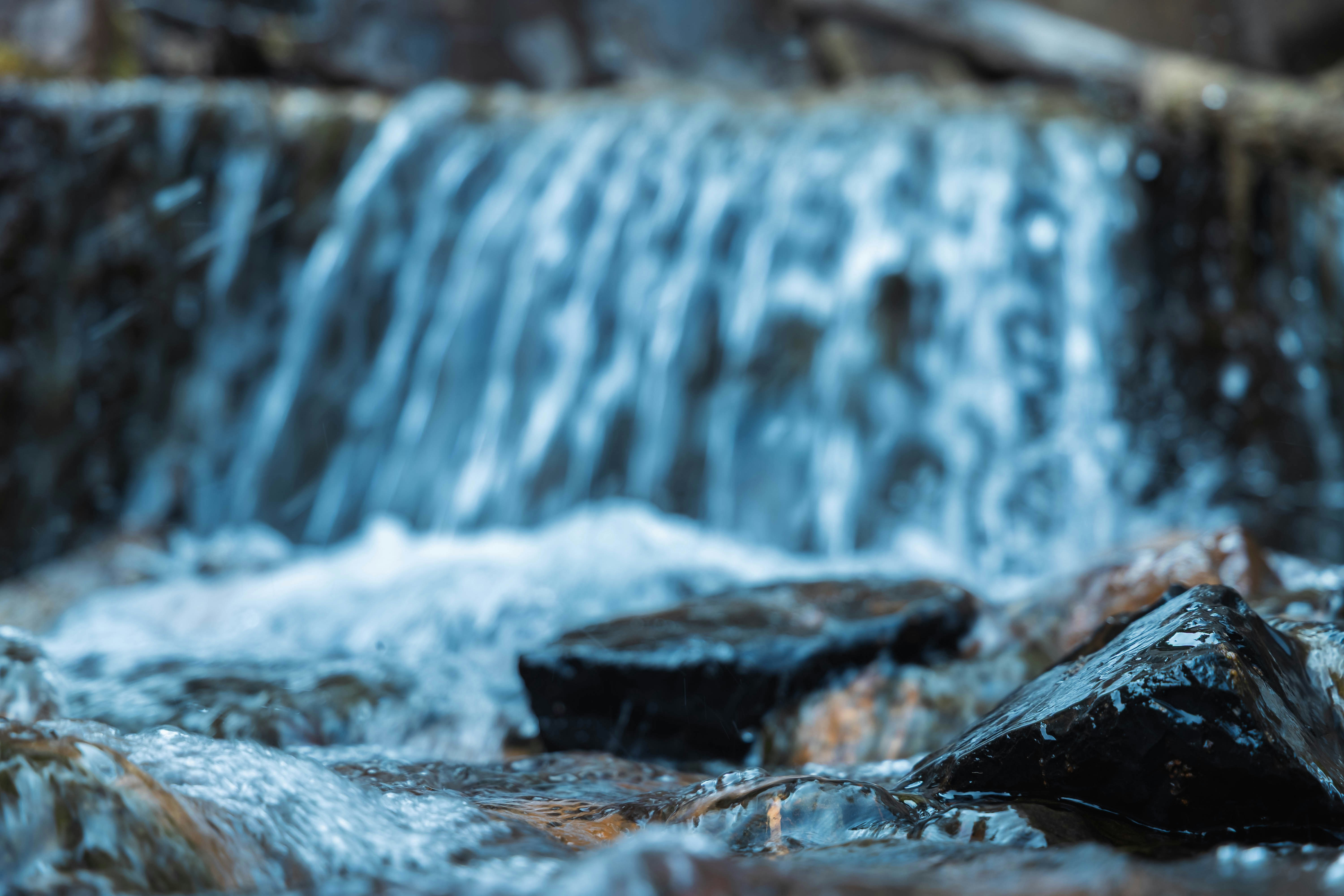 Photo by carbonmonoxide