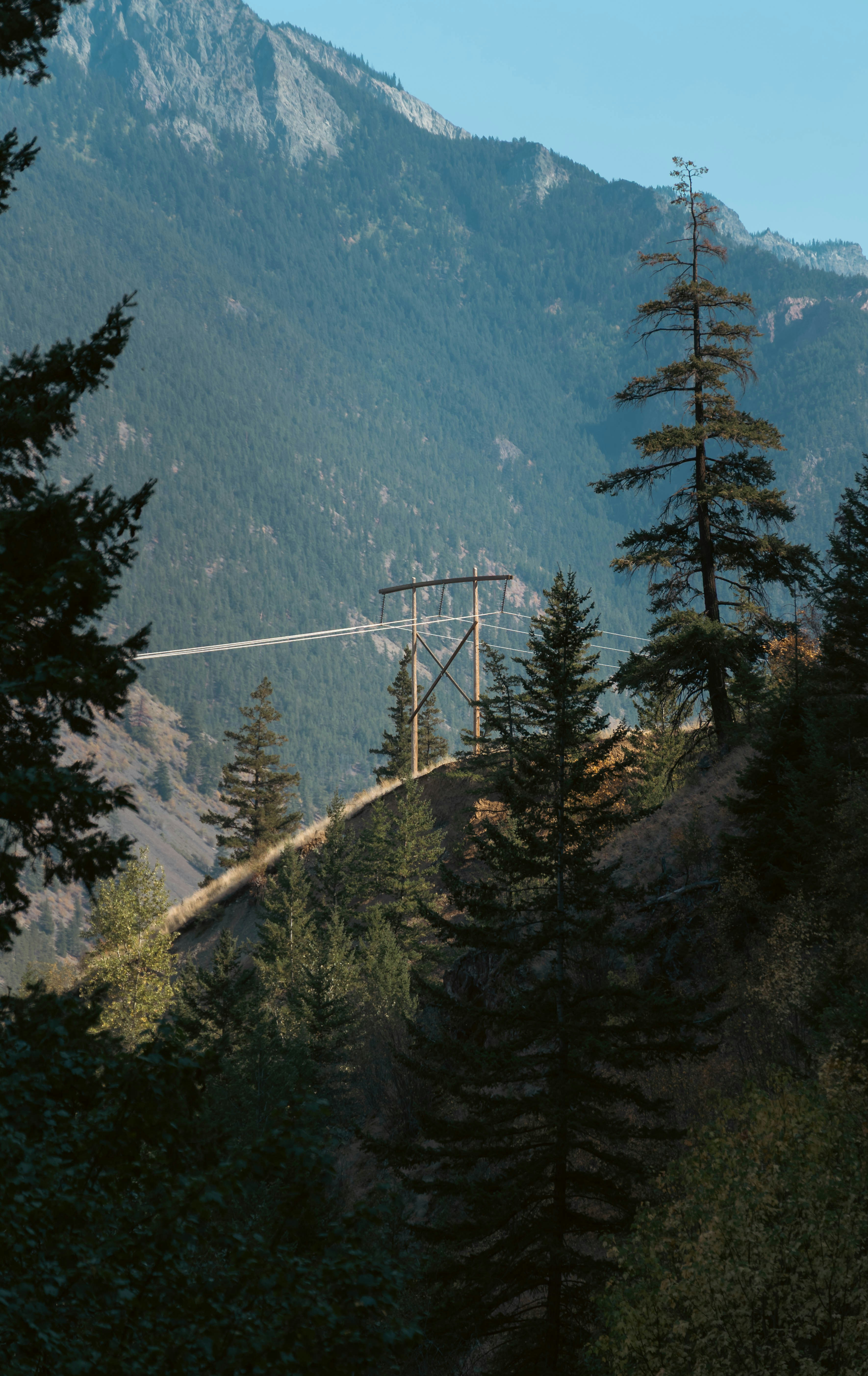 Photo by carbonmonoxide