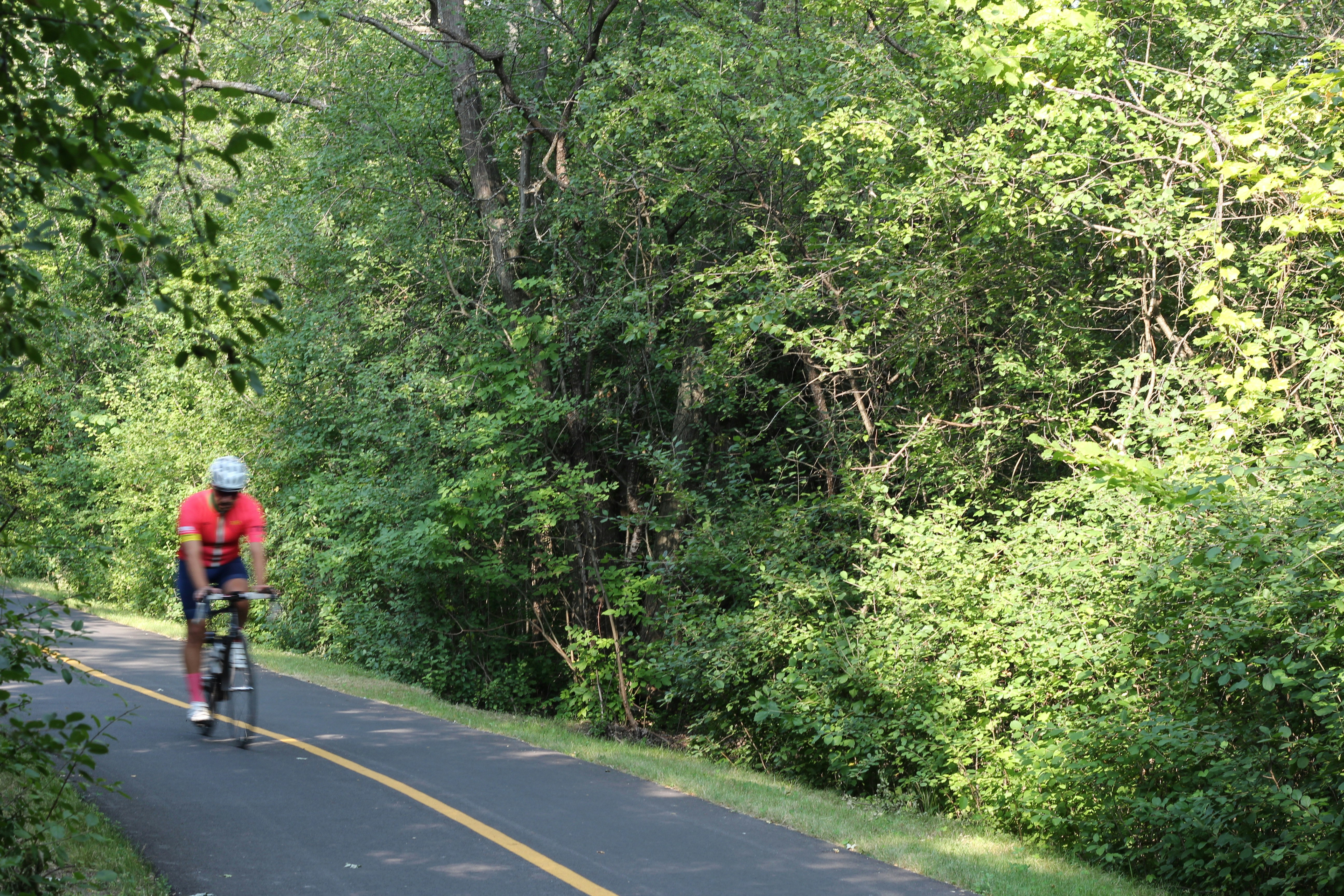 Cyclist riding on a paved park path