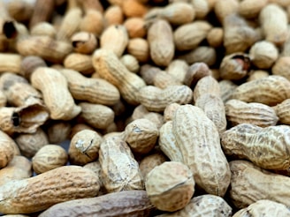 Pile of unshelled peanuts in their shells.