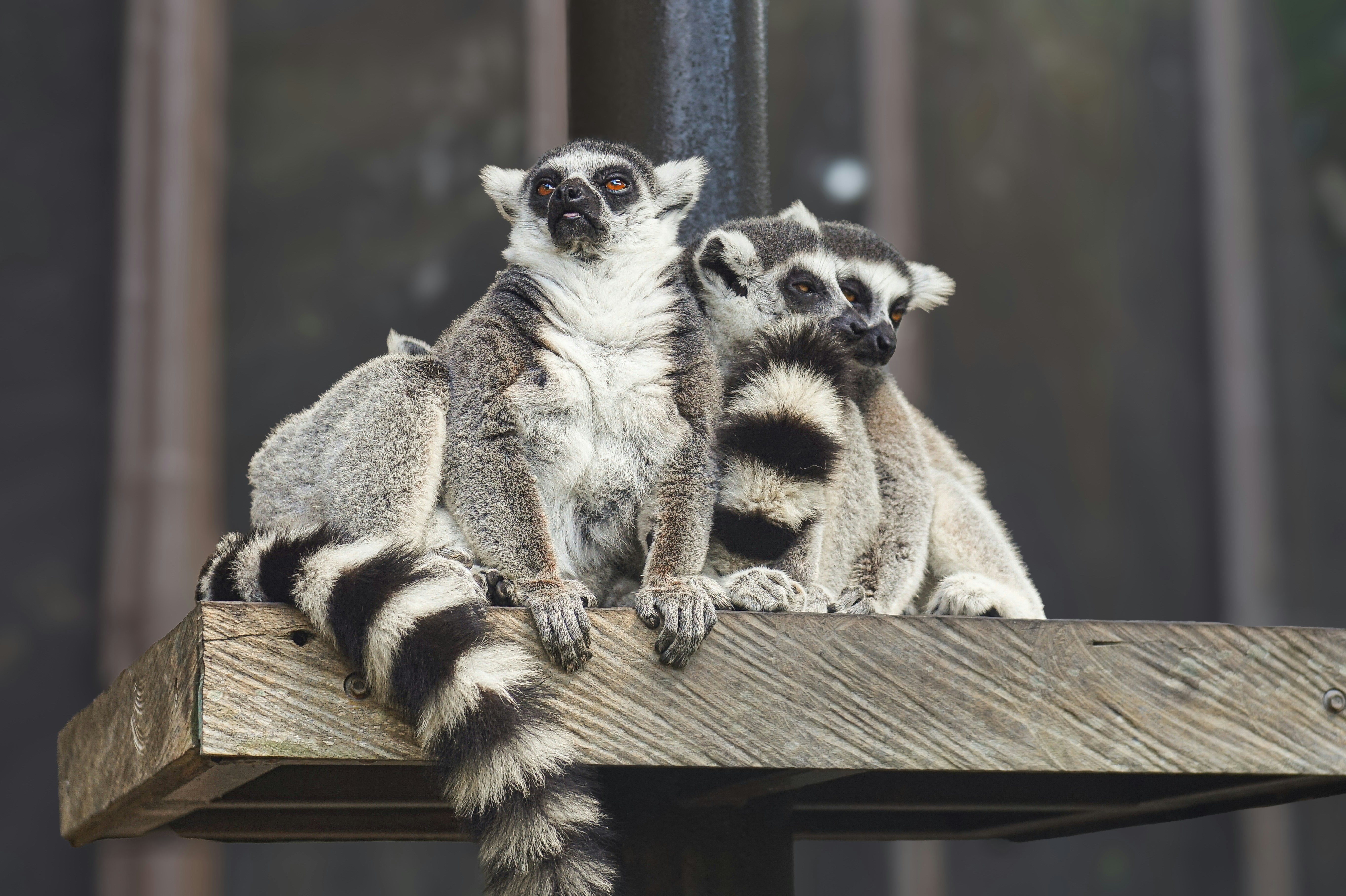 Photo by preventunload