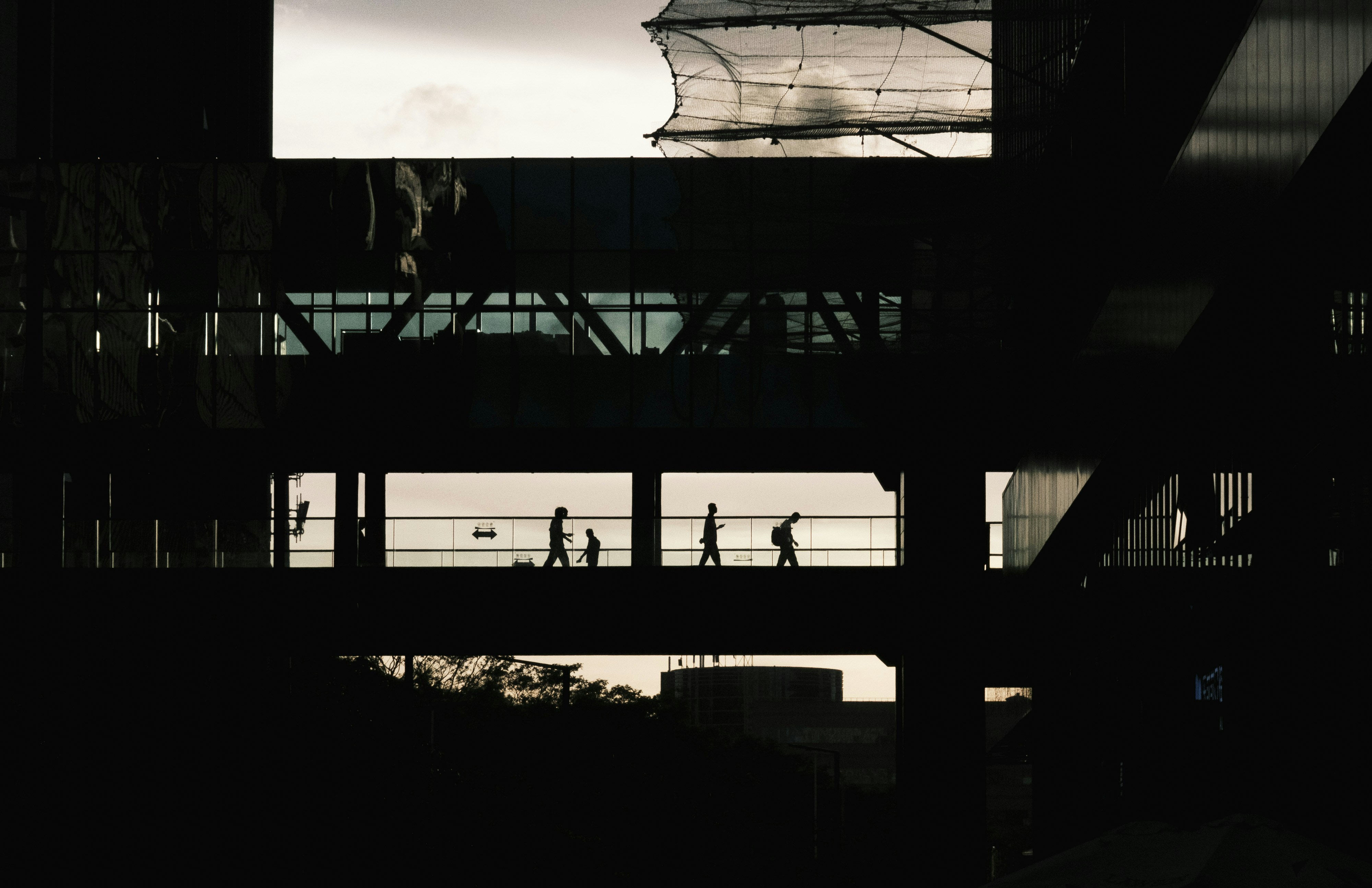 Examine The Difficulties Of Picking In Between Dumpster Rental And Junk Removal Services To Reveal The Optimal Option For Your Task Requires