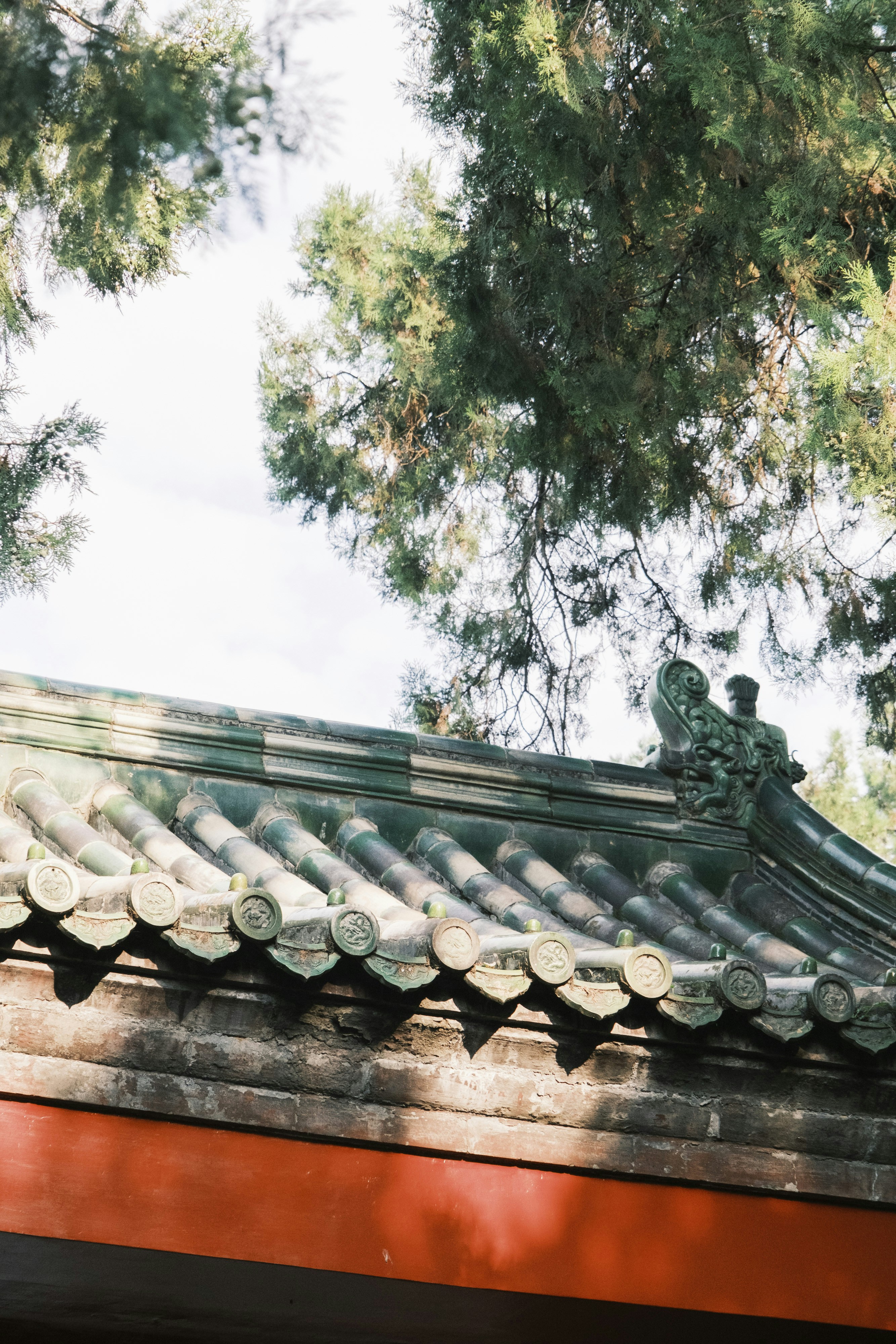 Photo by samuelwu