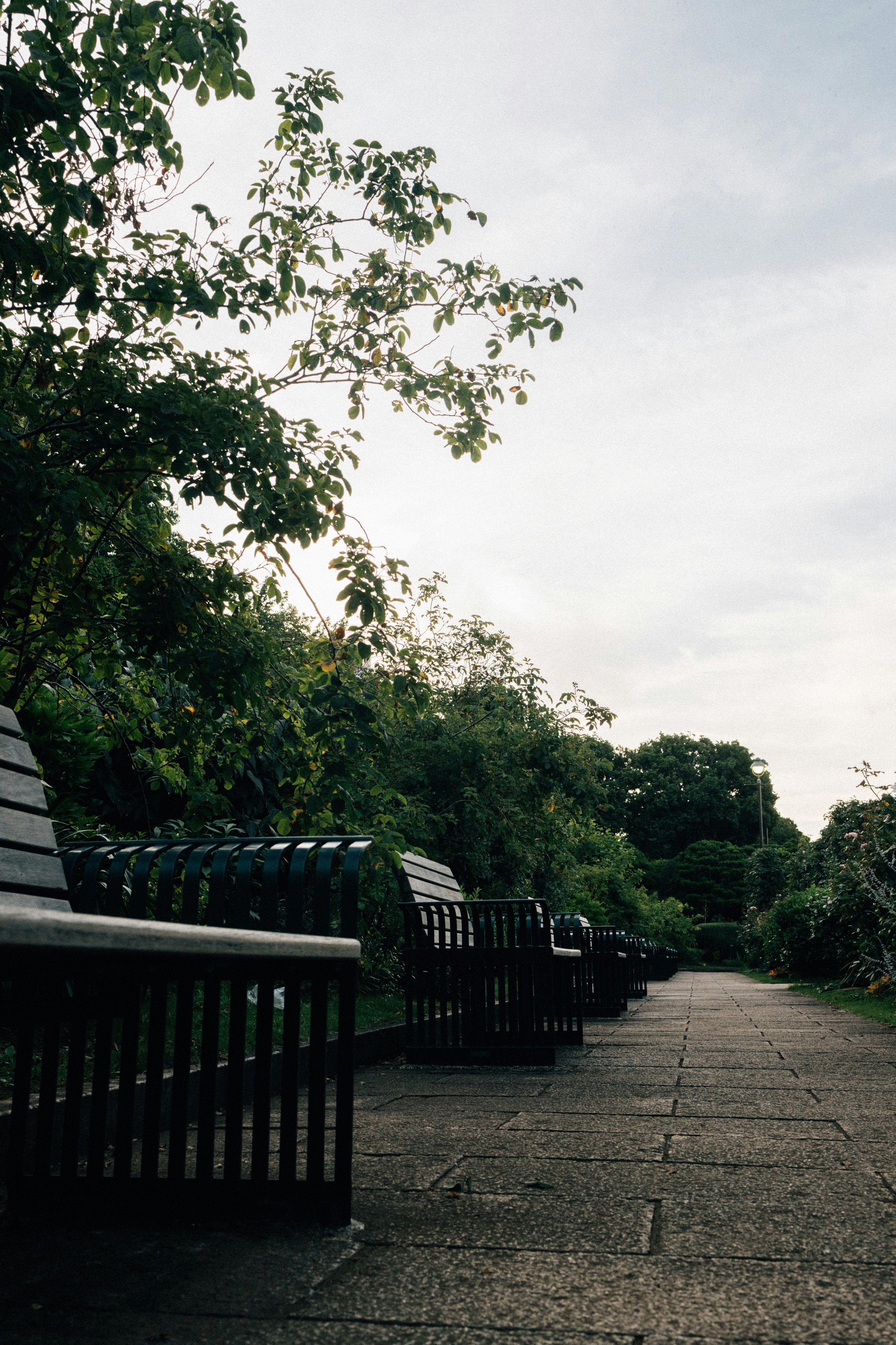 Photo by tsuyoshikozu