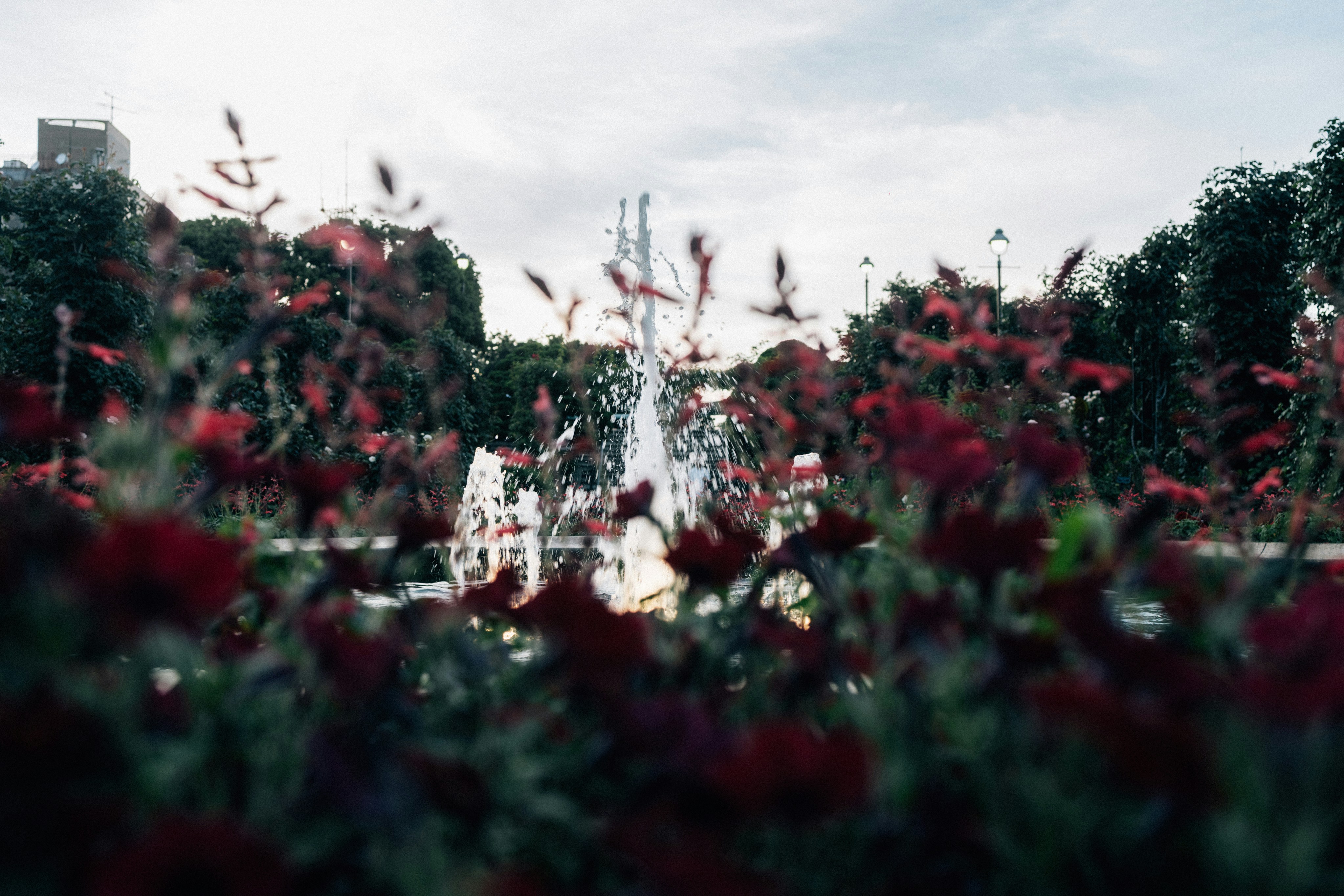 Photo by tsuyoshikozu