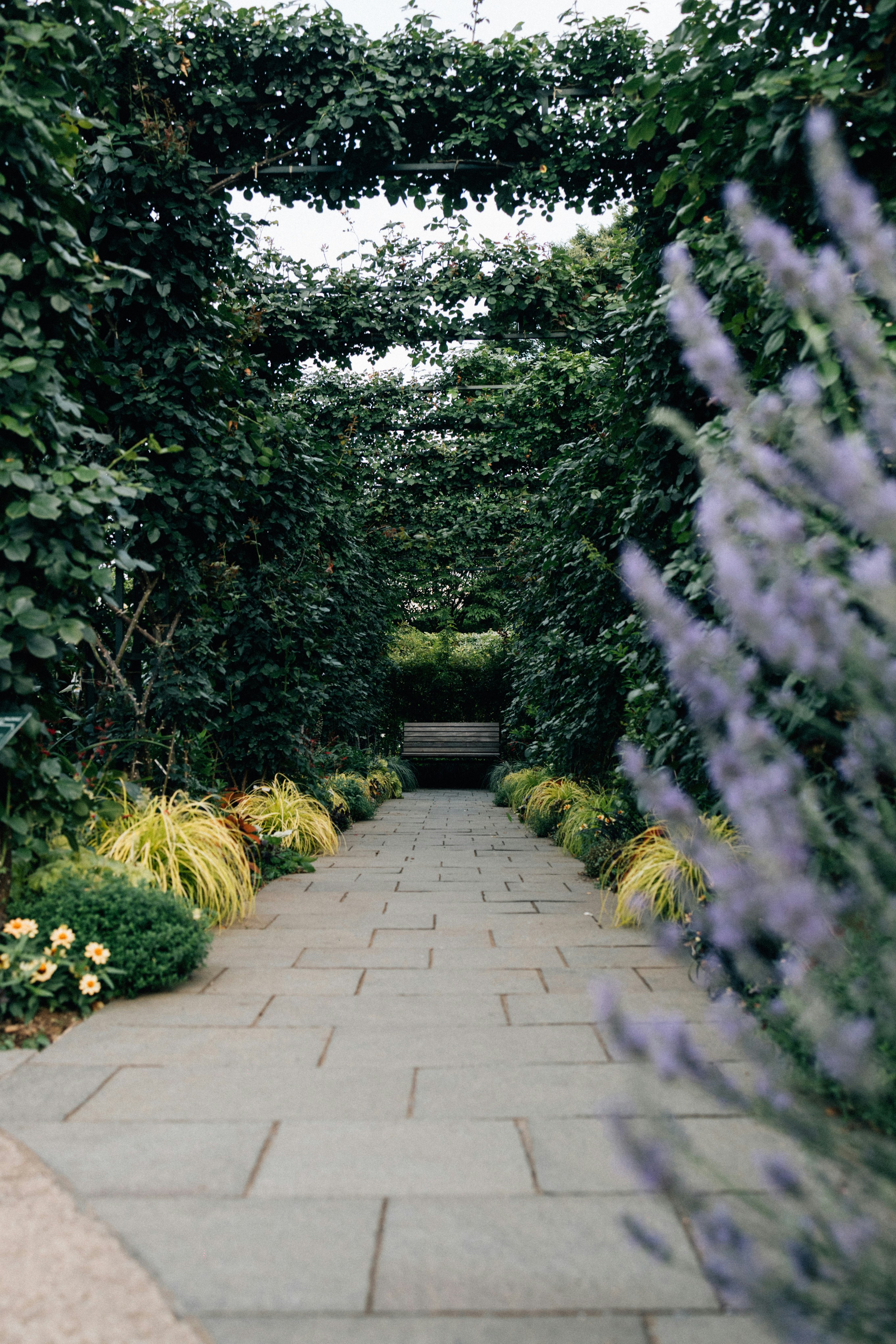 Photo by tsuyoshikozu