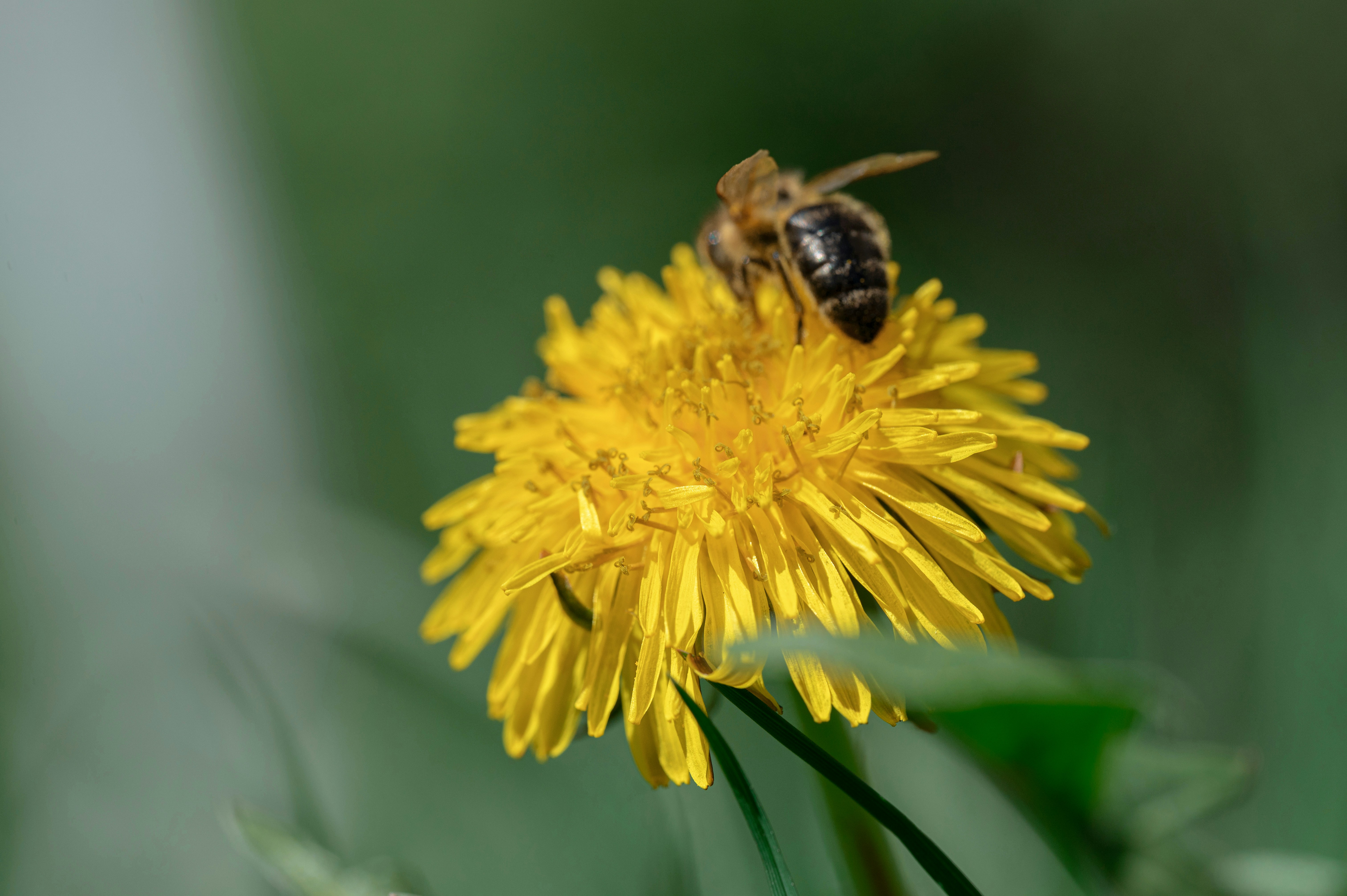 Photo by volodymyr_leush