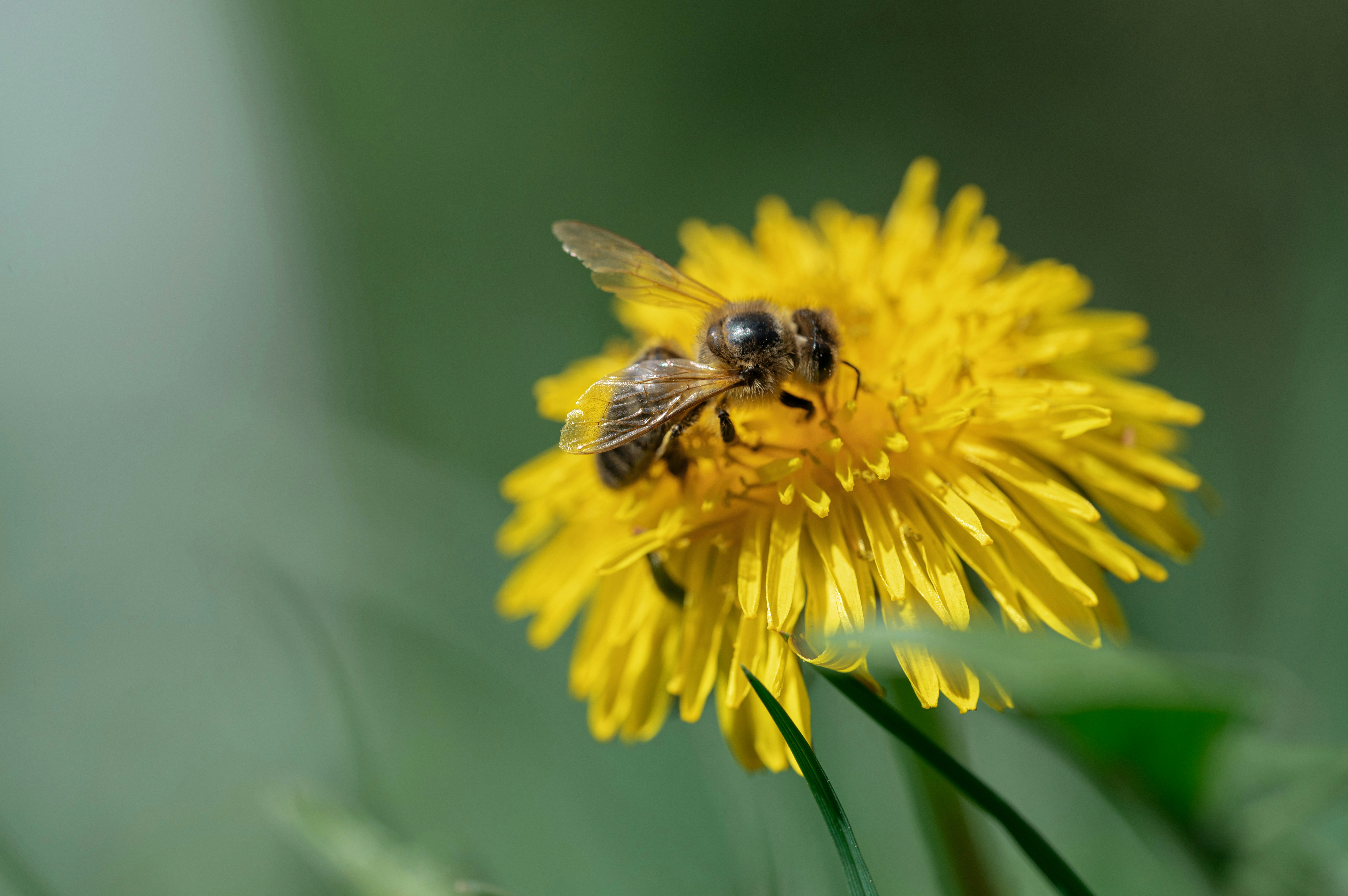 Photo by volodymyr_leush