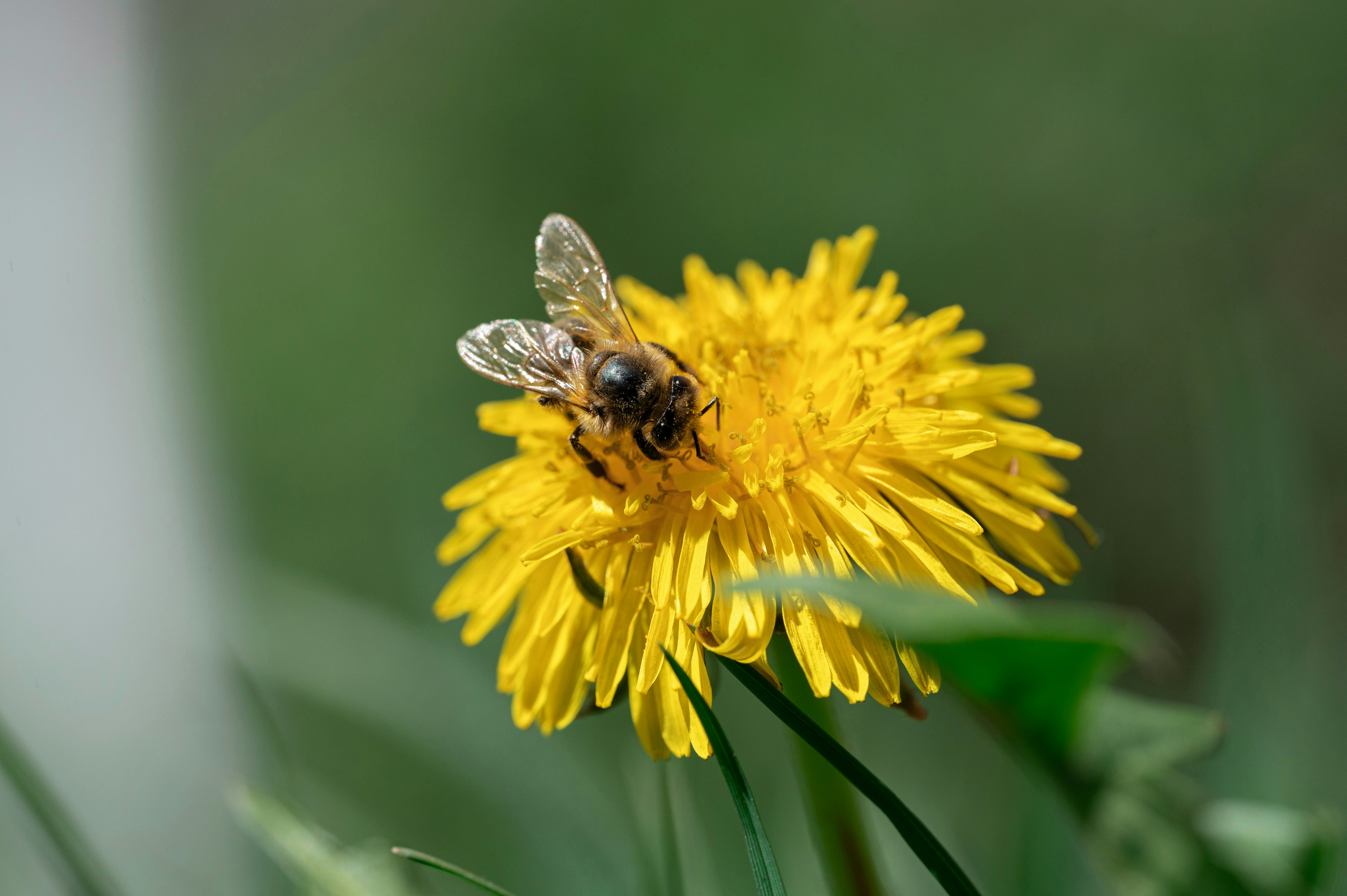 Photo by volodymyr_leush