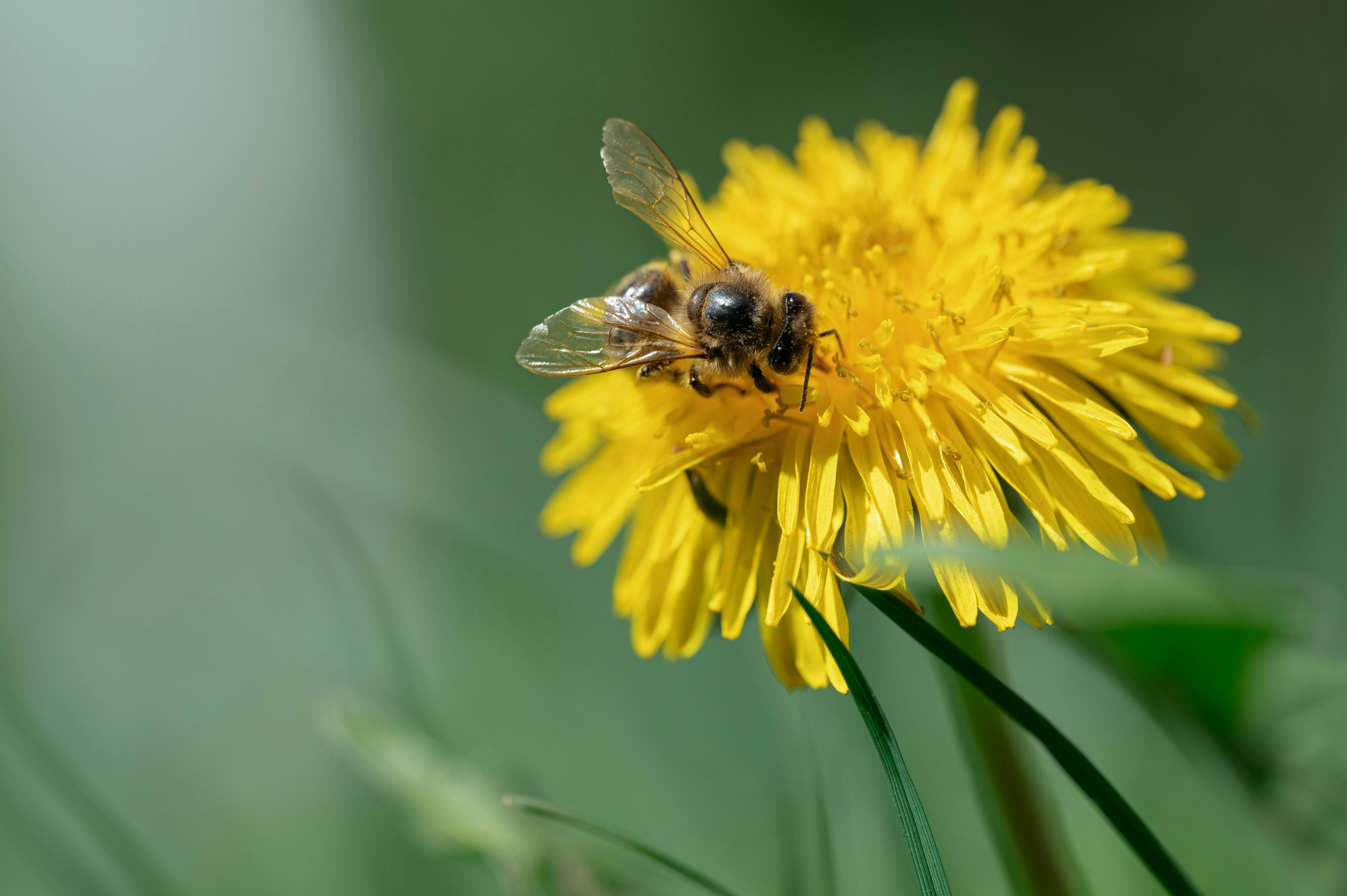 Photo by volodymyr_leush