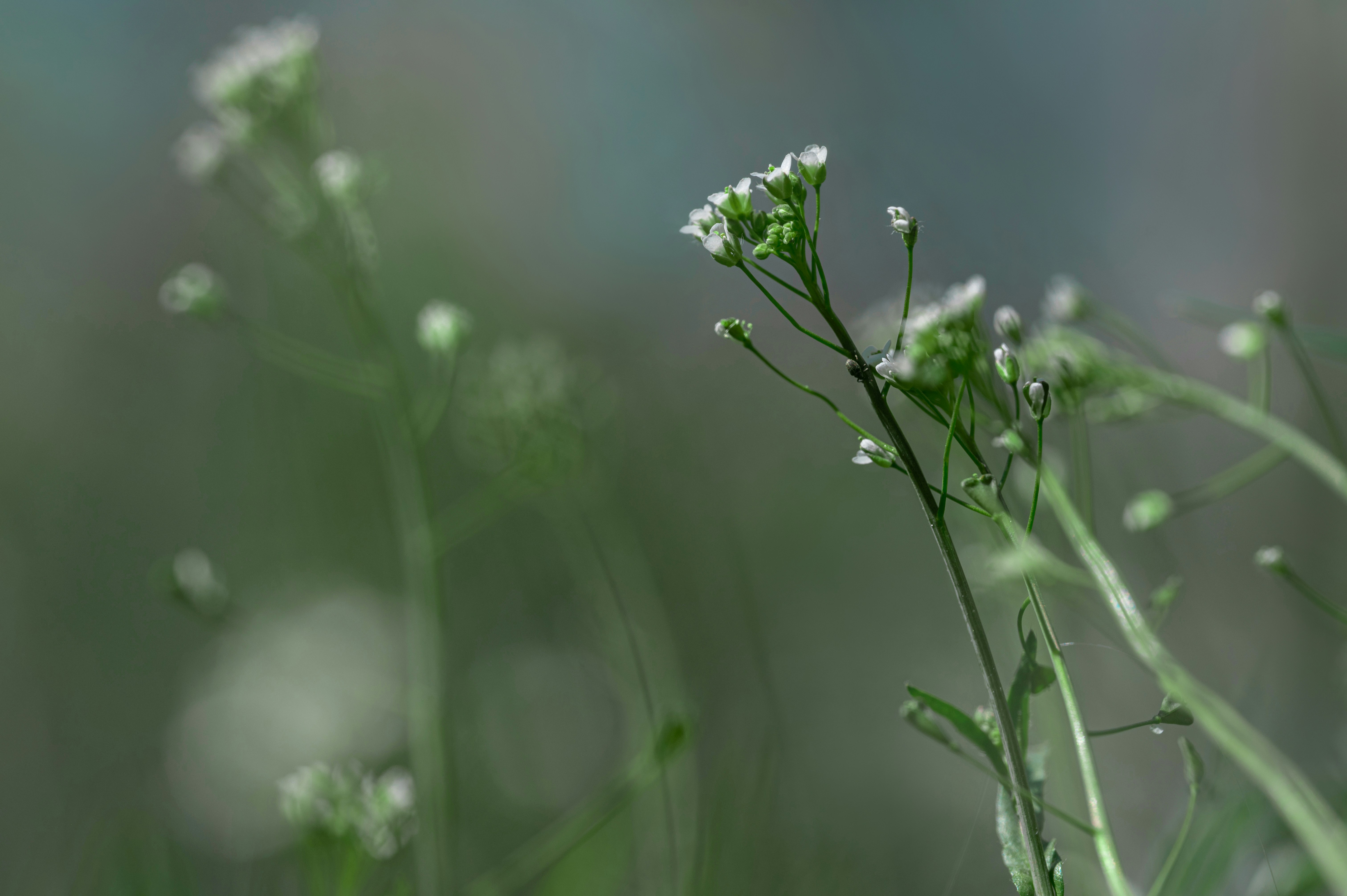 Photo by volodymyr_leush