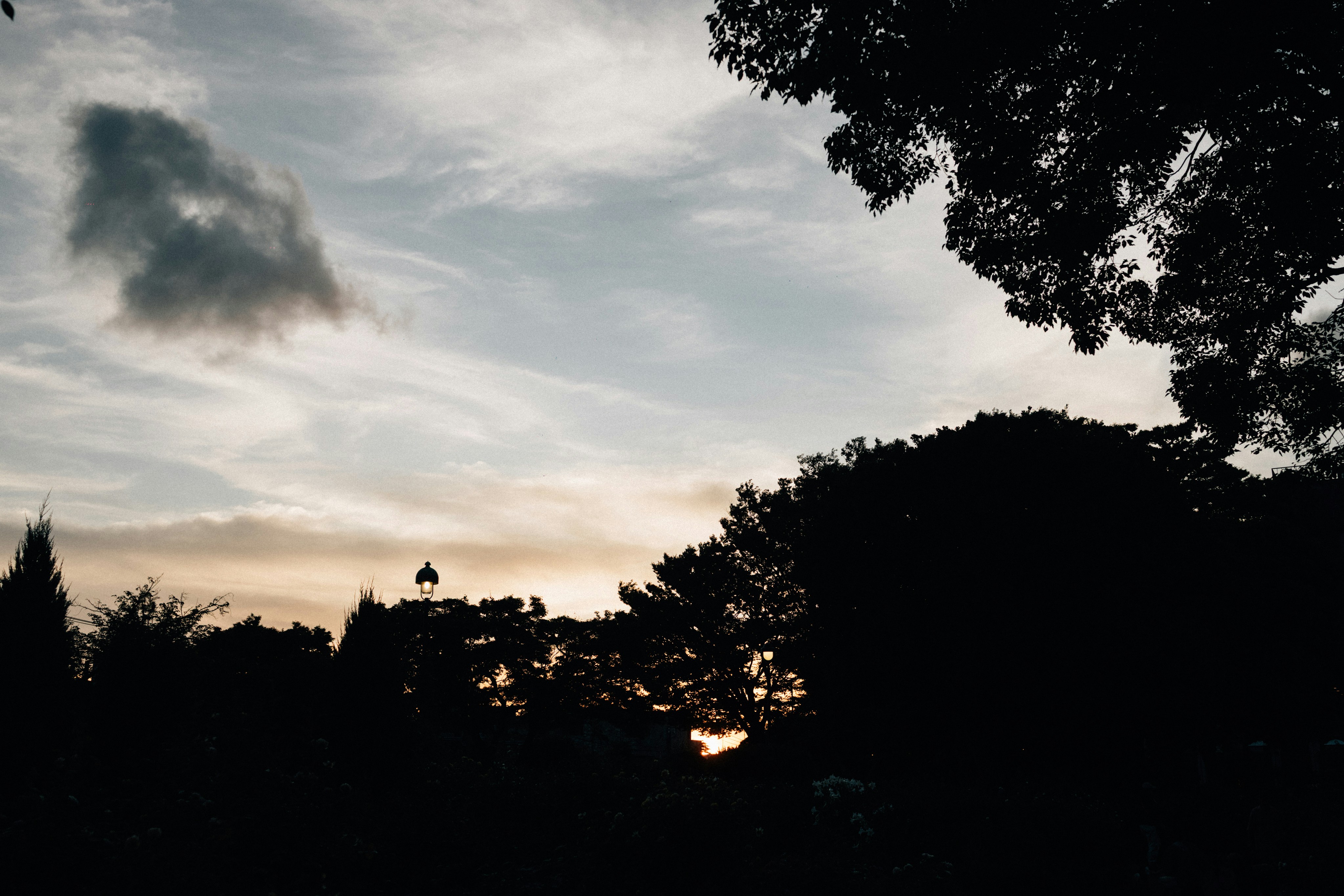 Photo by tsuyoshikozu