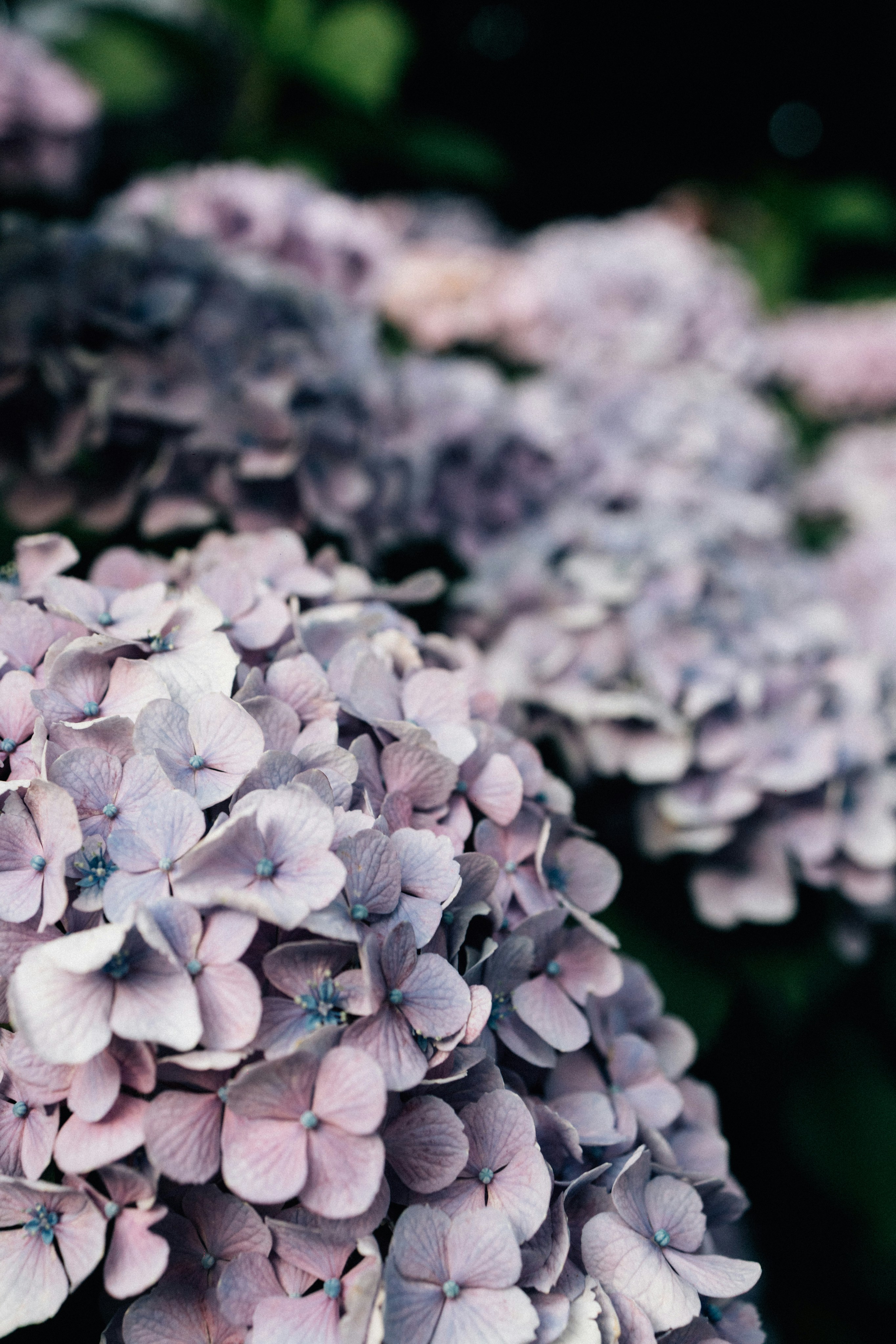 Photo by tsuyoshikozu