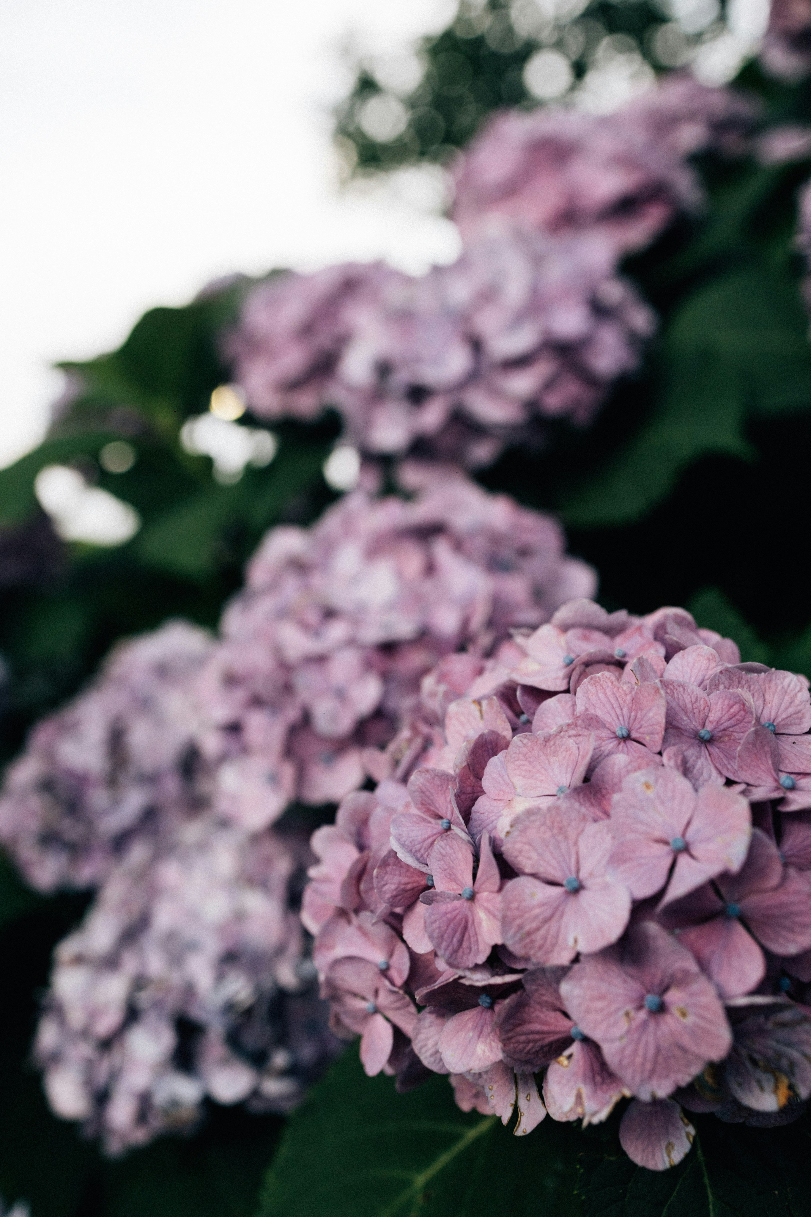 Photo by tsuyoshikozu