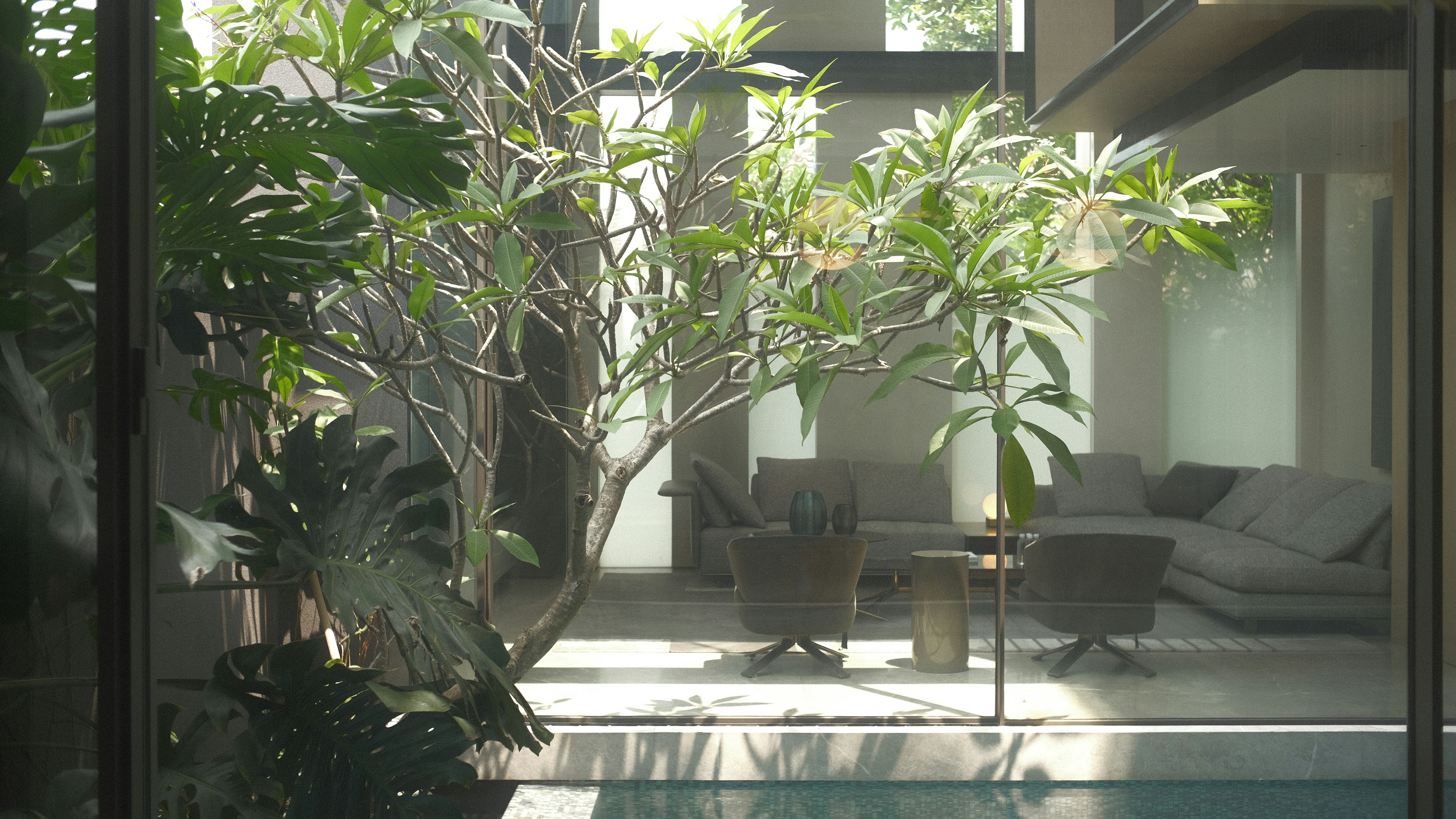 Photo by davidkristianto