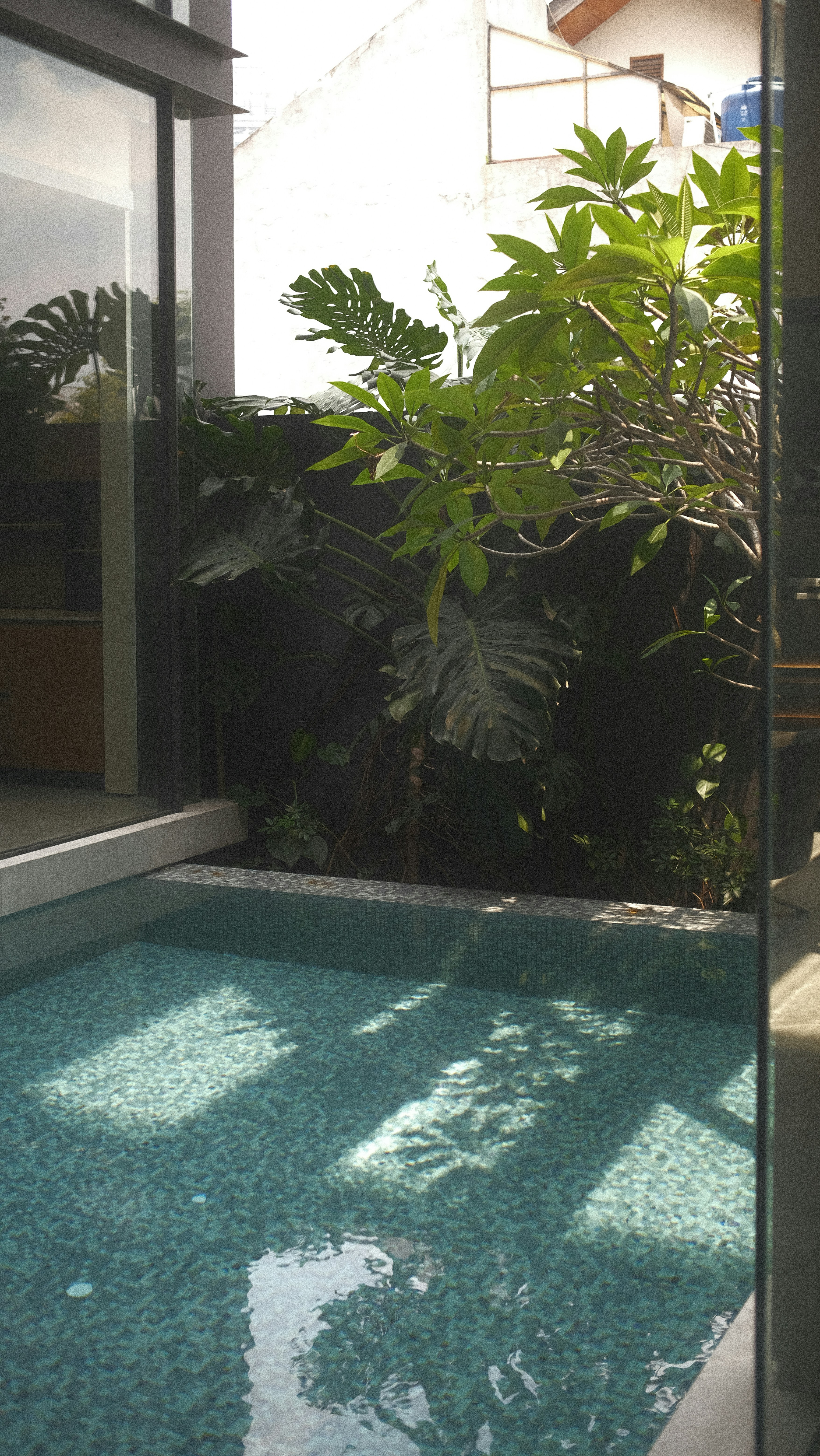 Photo by davidkristianto