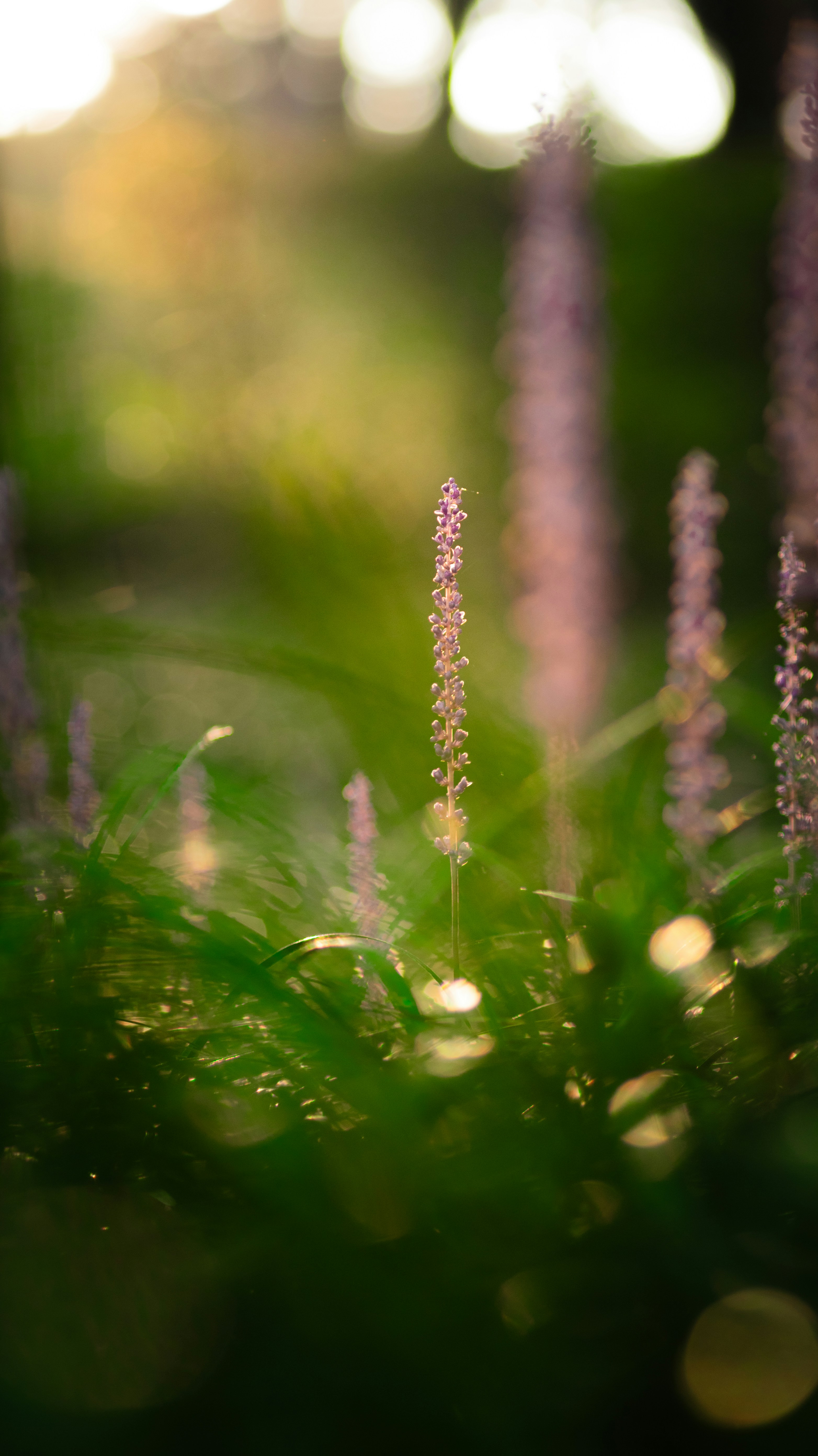 Photo by ttokttak_noir