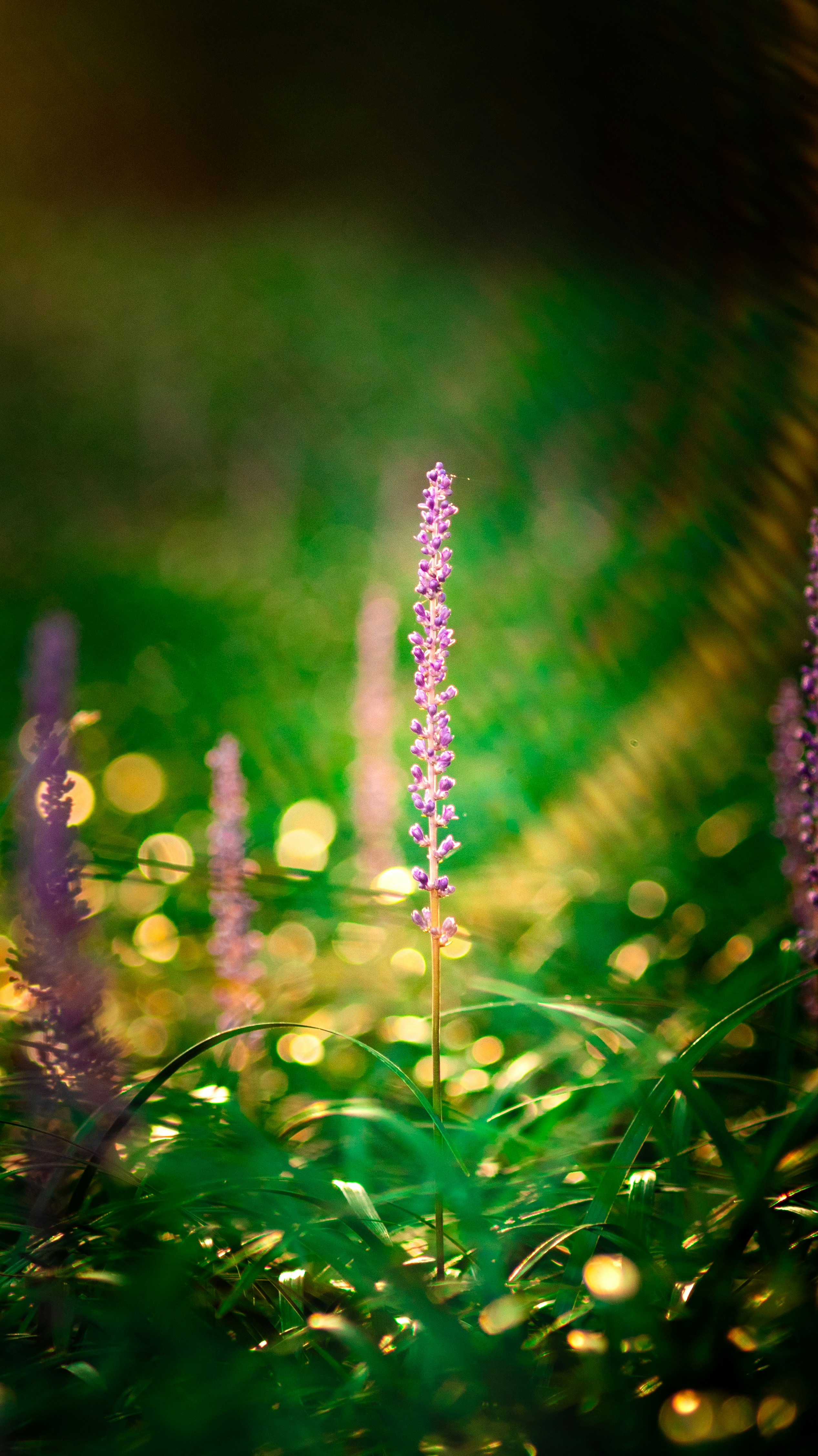 Photo by ttokttak_noir