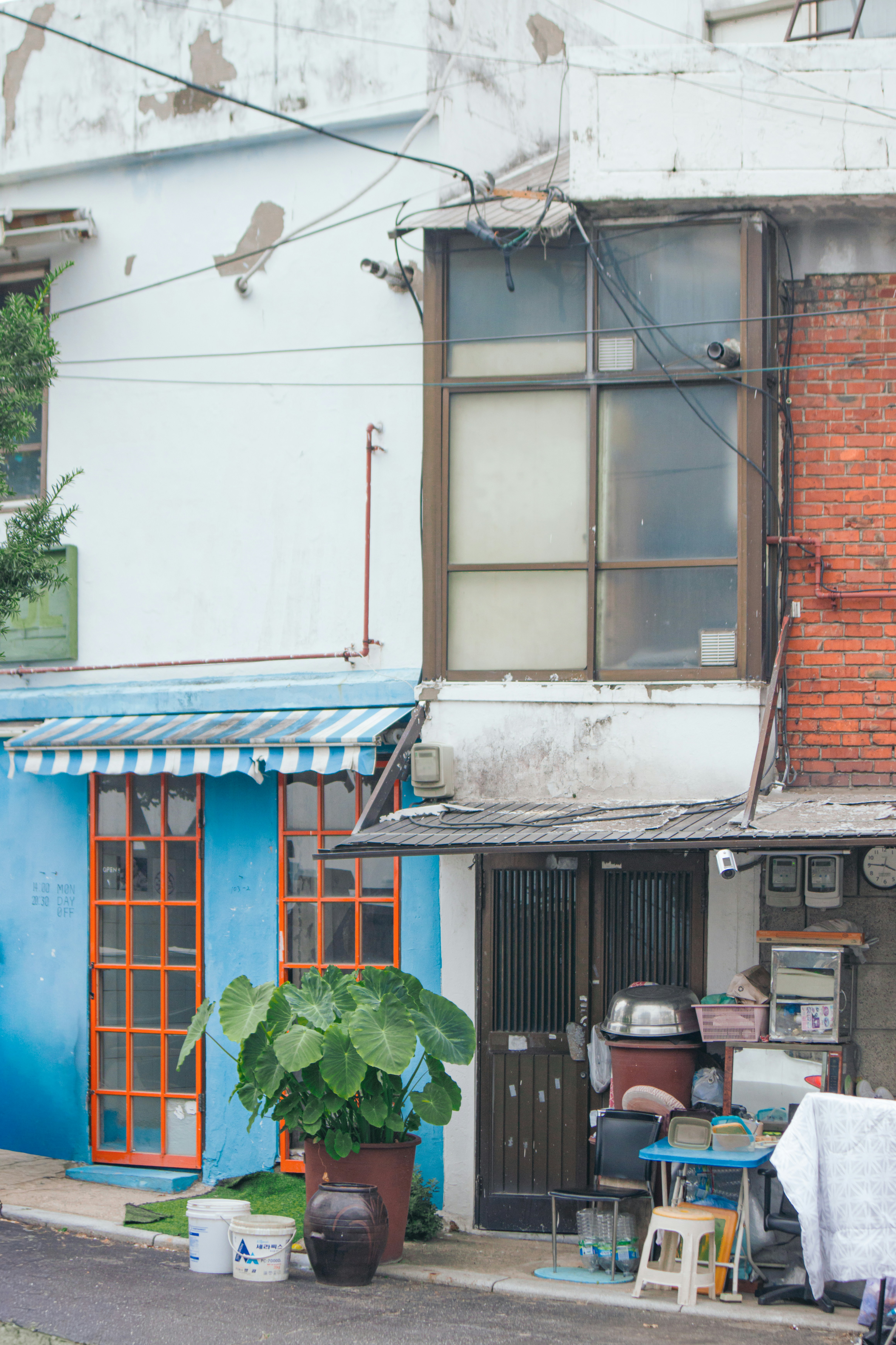 Photo by seoul_lover_lily