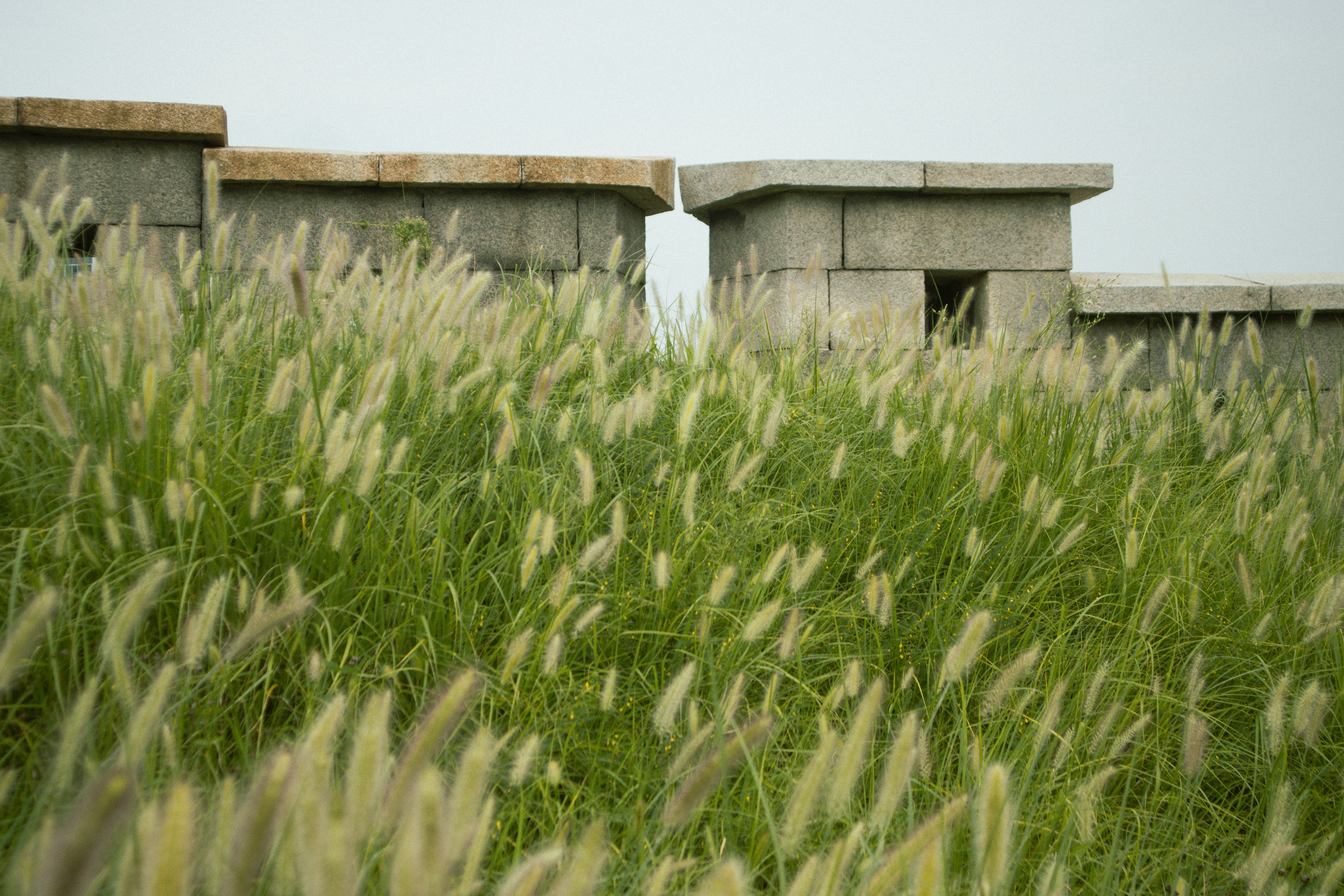 Grassy field with concrete structures in background