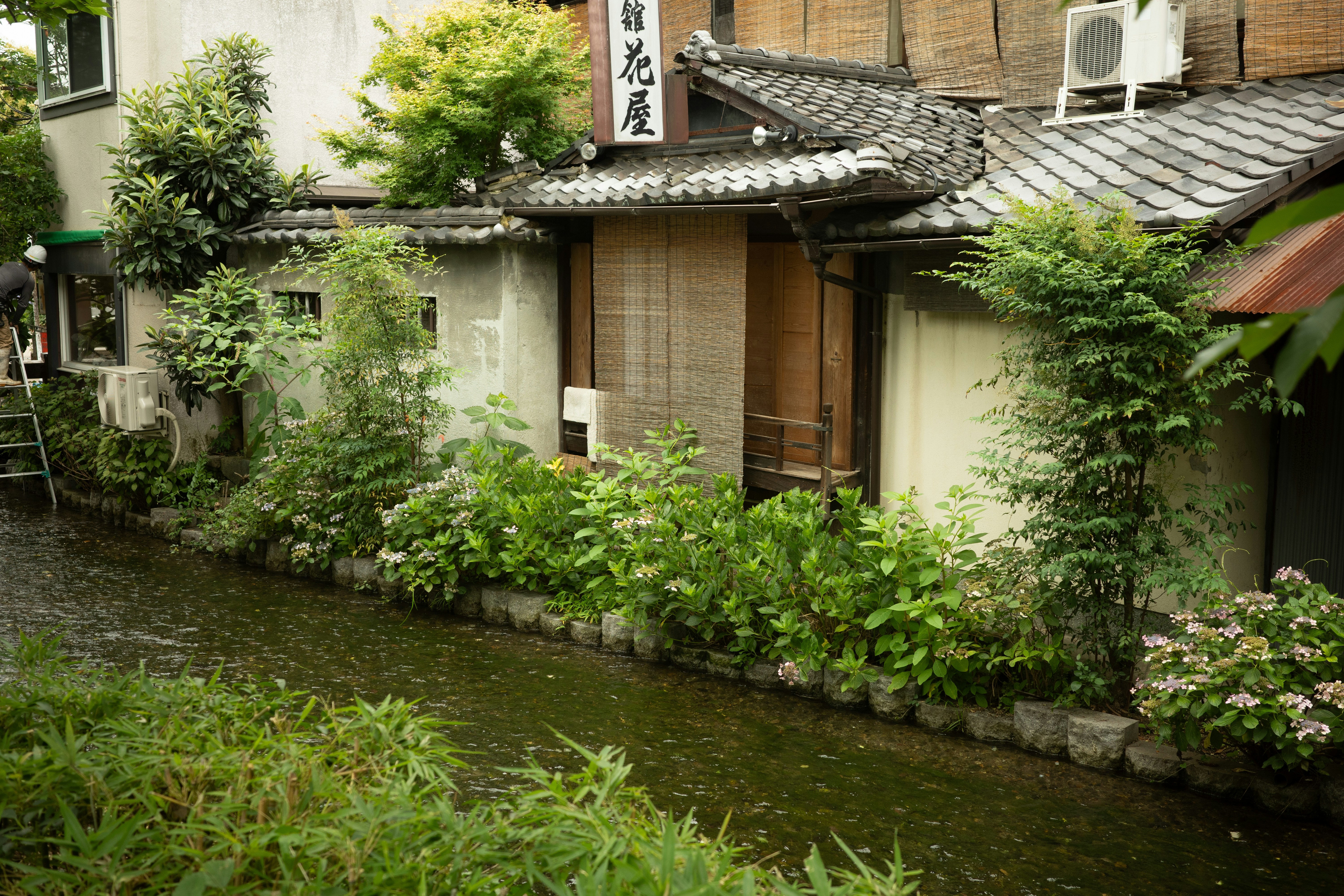 Photo by th1ennguyen