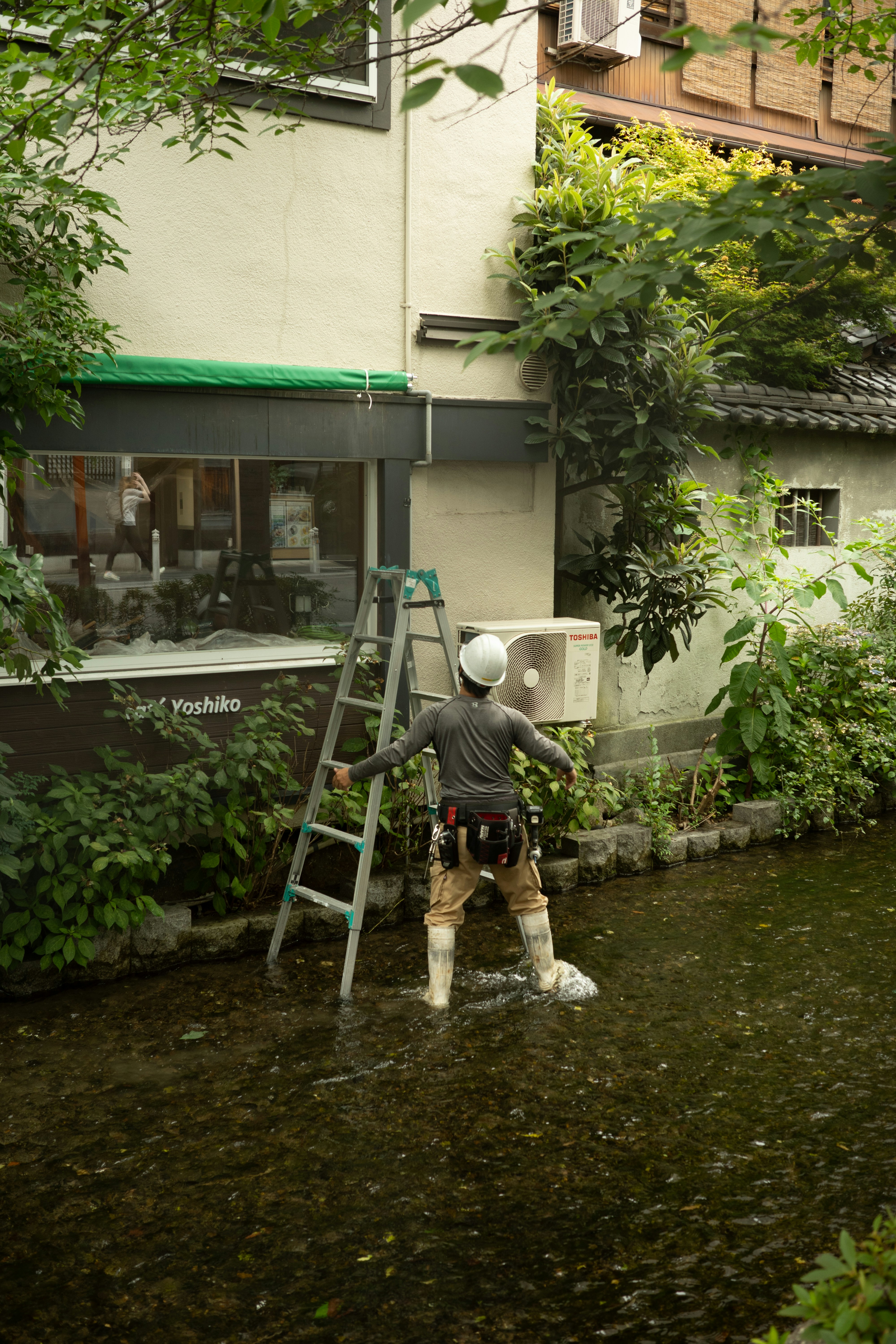 Service Dog Assisting with Daily Tasks