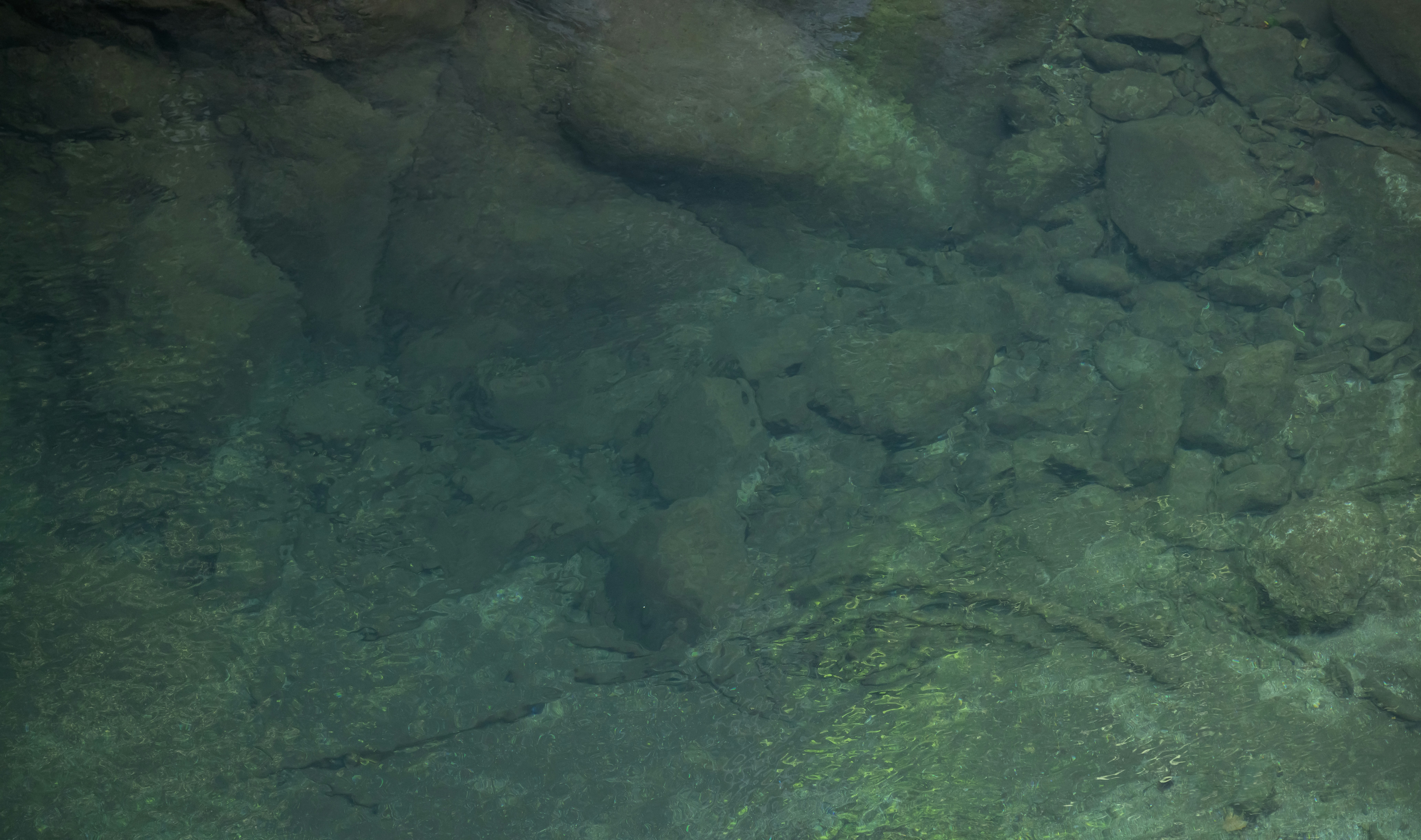 Joal Fadiouth – Day Trips & Surroundings