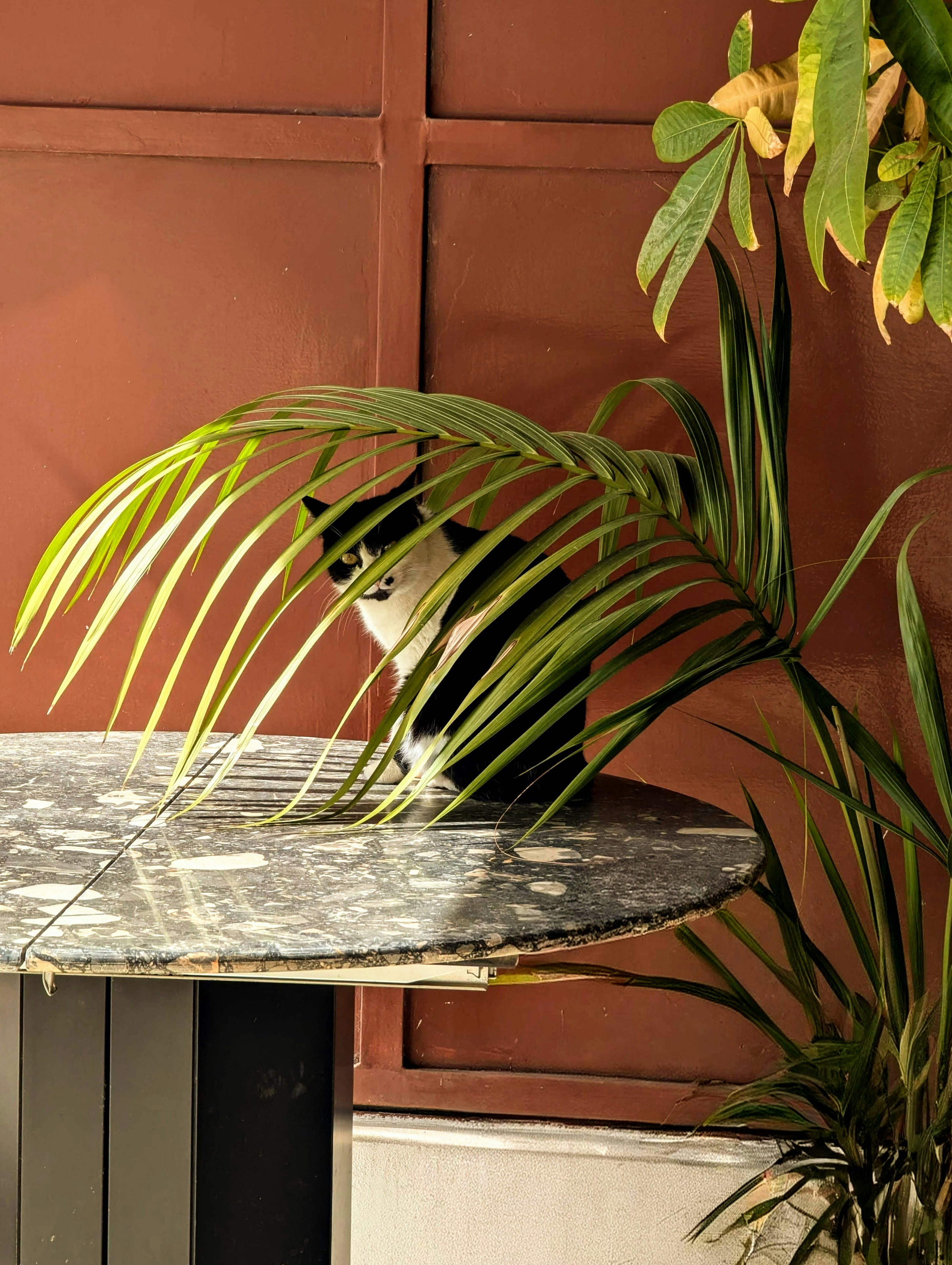 Photo by nextinfamouz