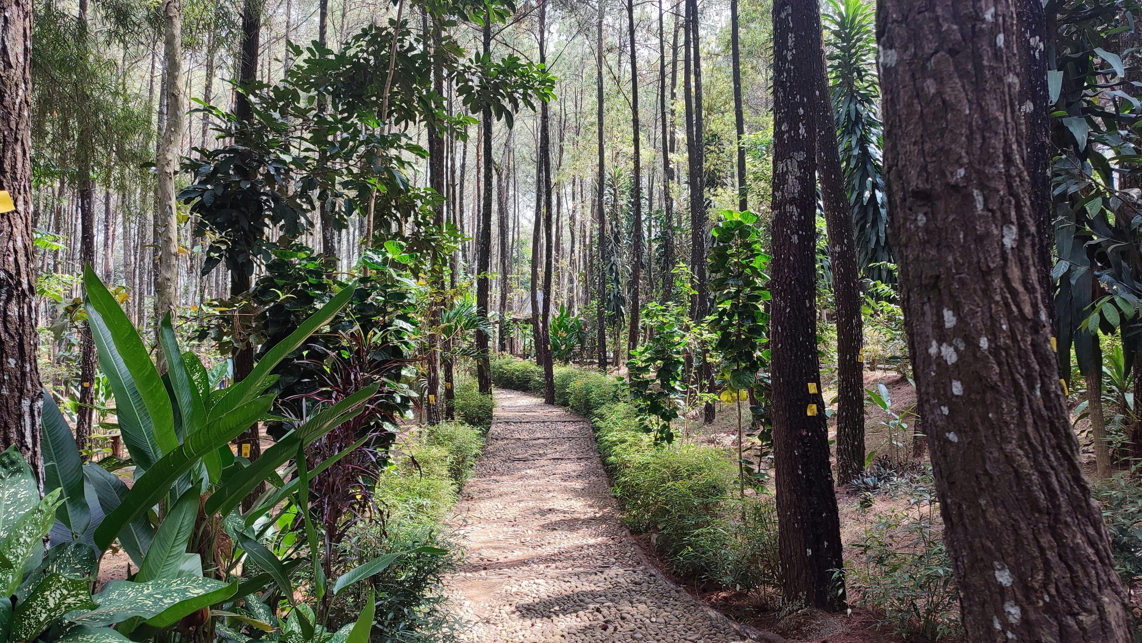 Photo by rizkydwisaputro