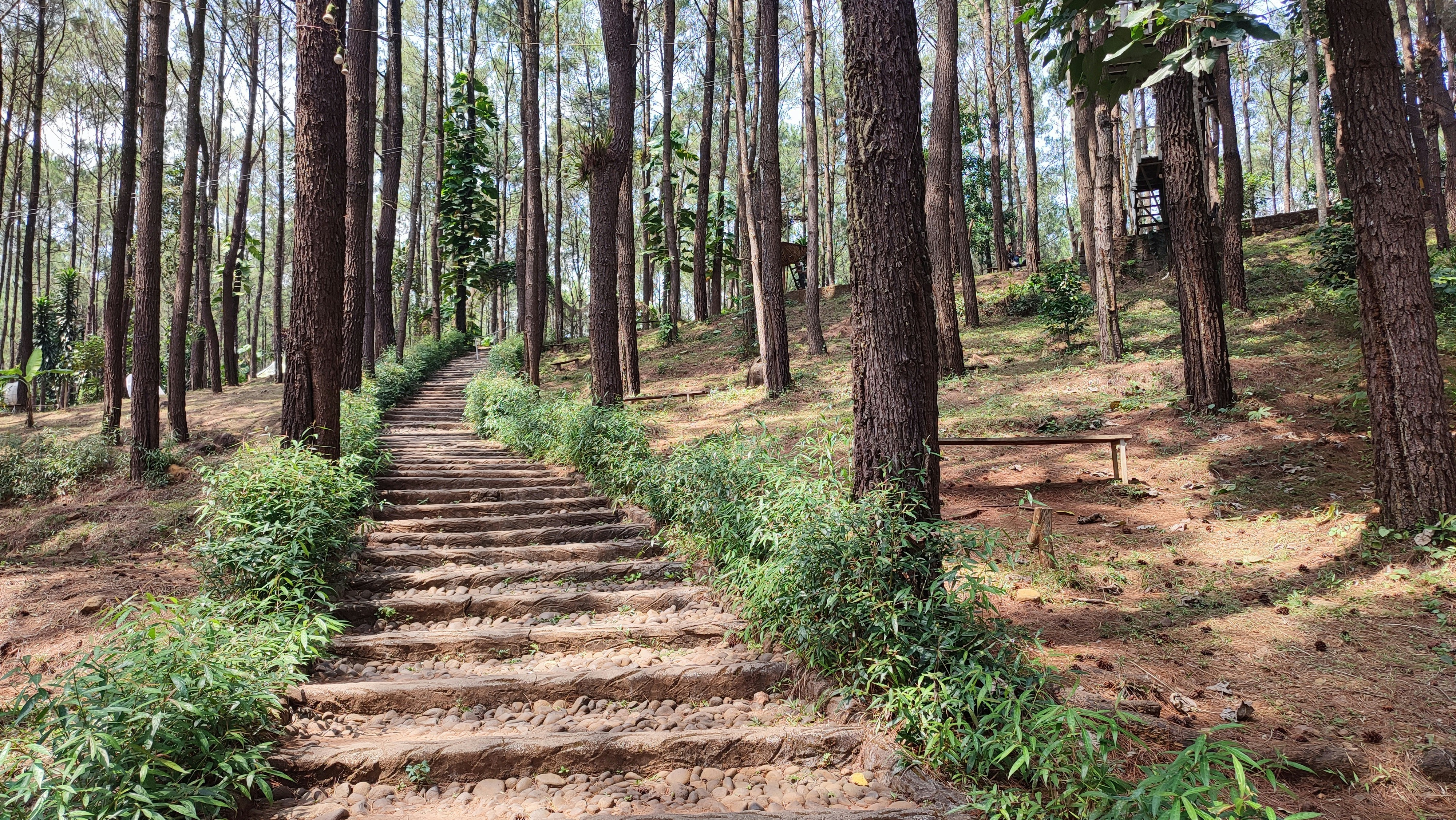 Photo by rizkydwisaputro