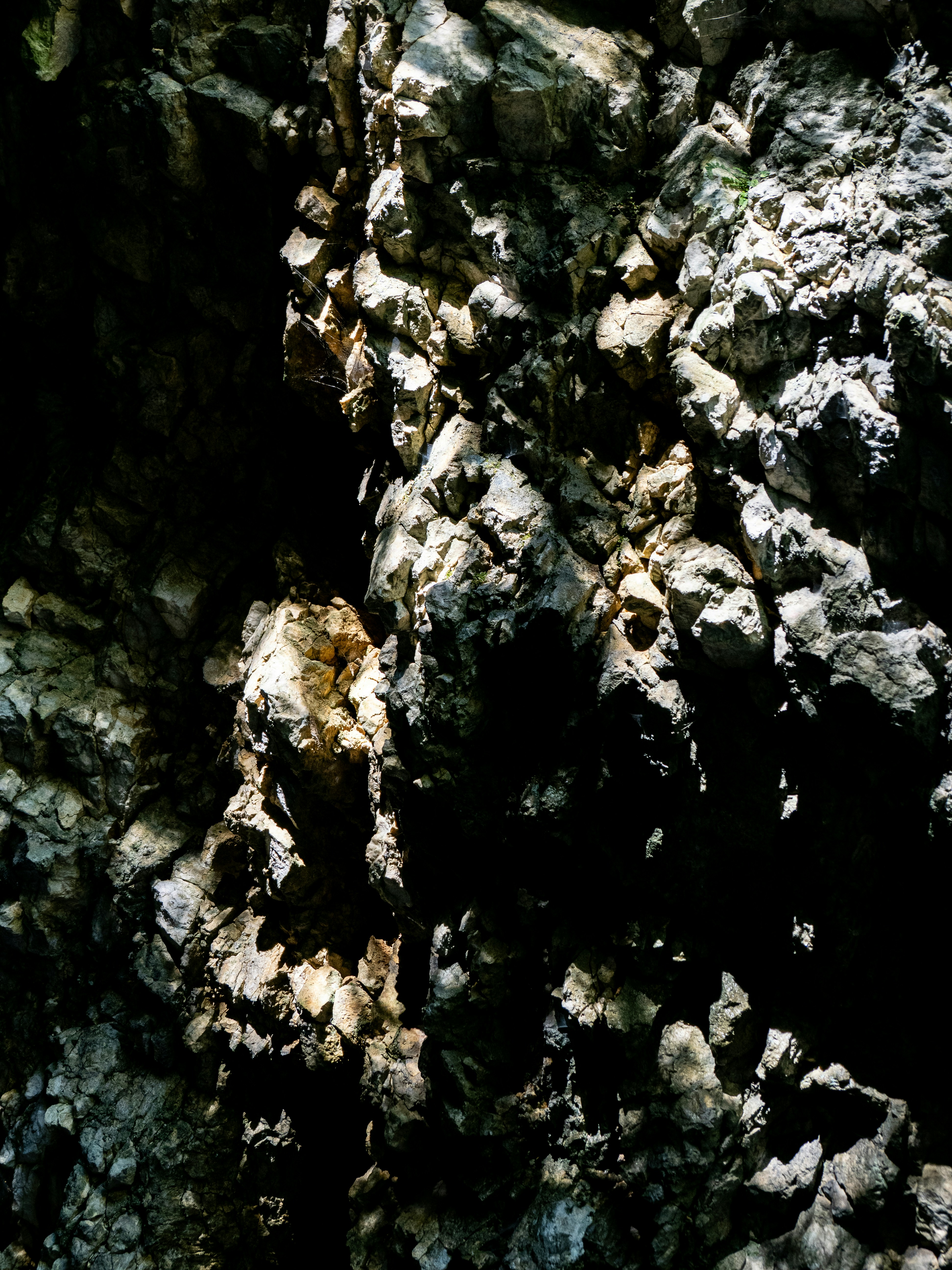 Photo by gopitri_prem