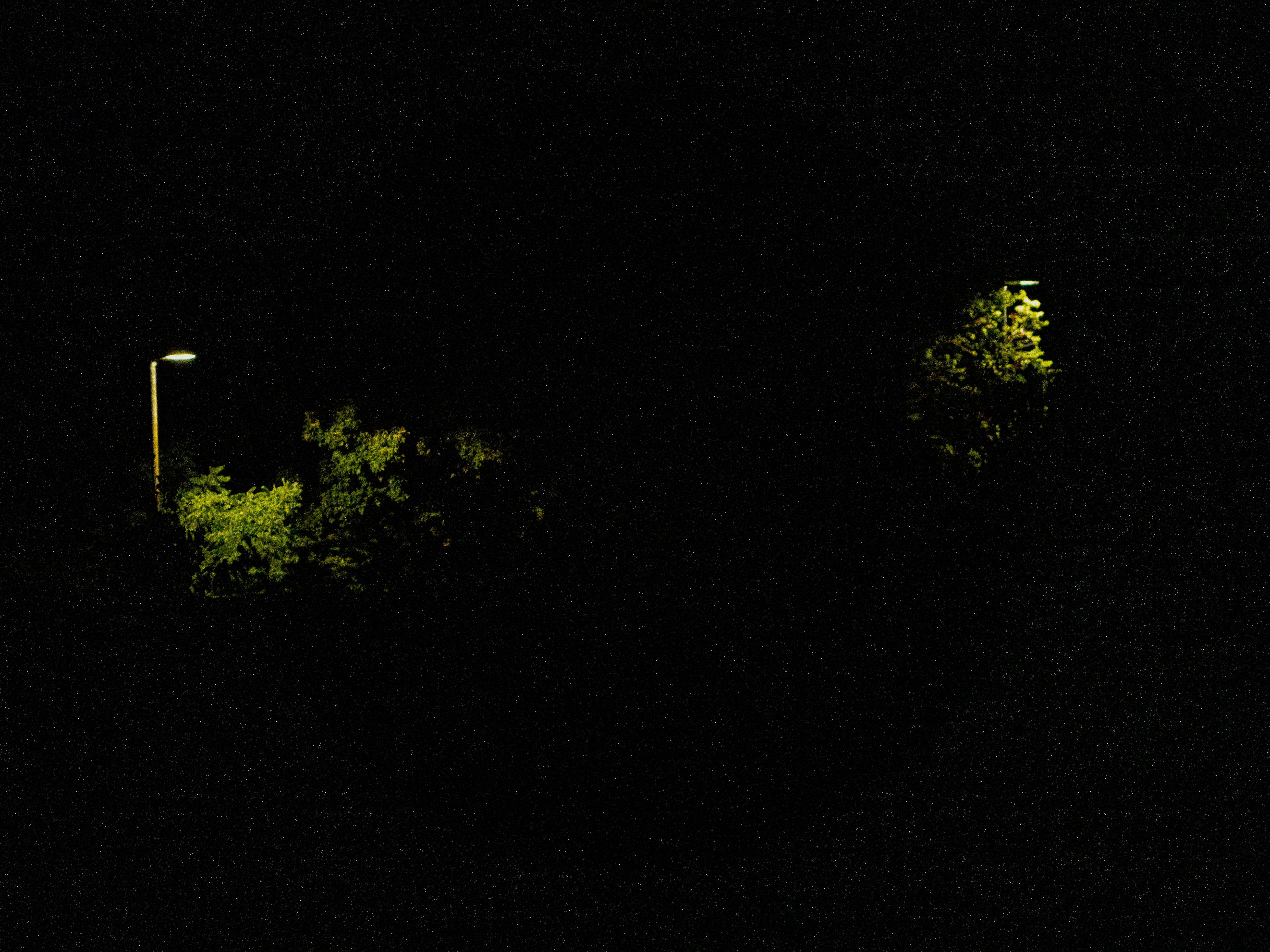 Photo by gopitri_prem