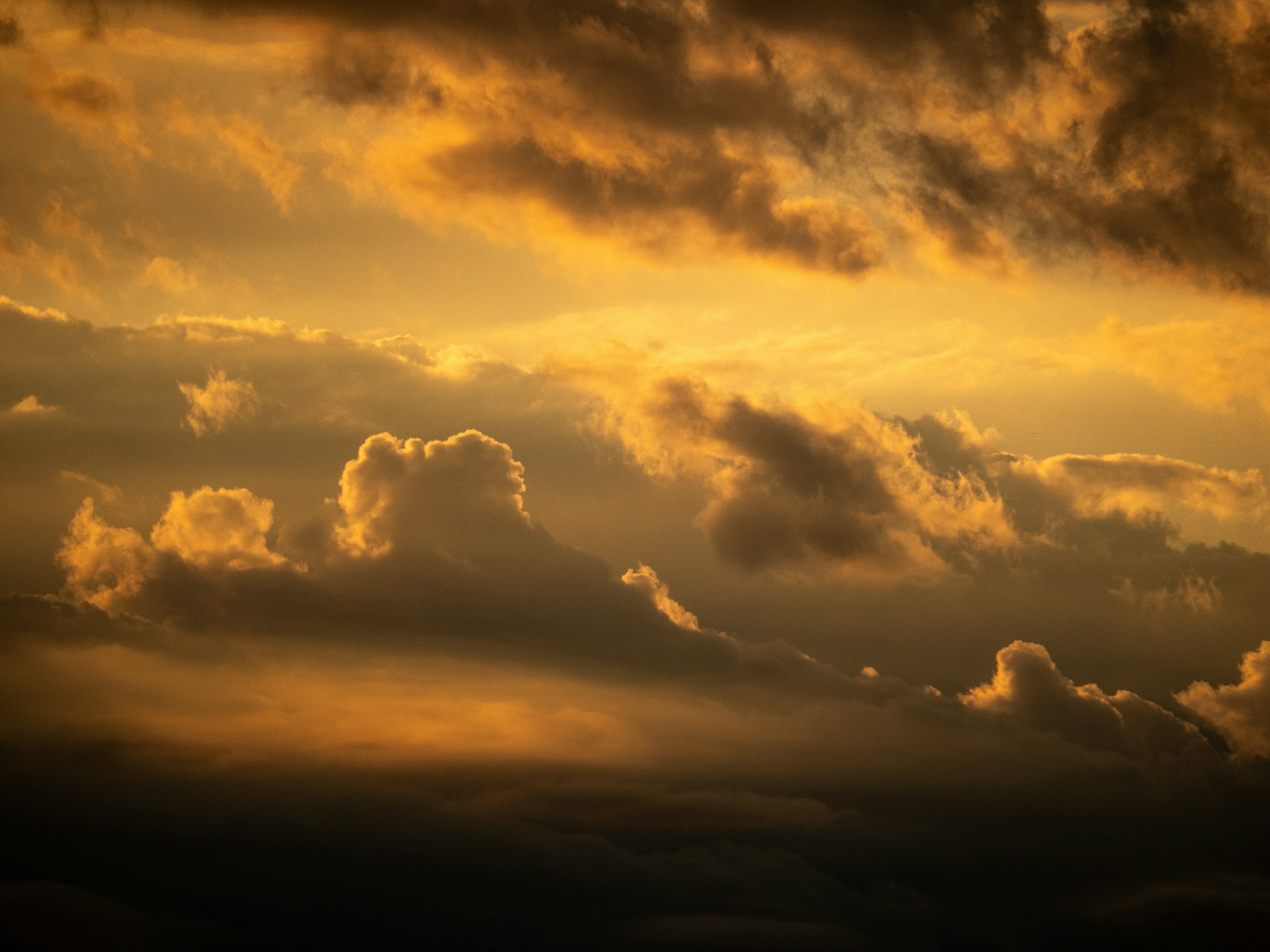 Photo by gopitri_prem