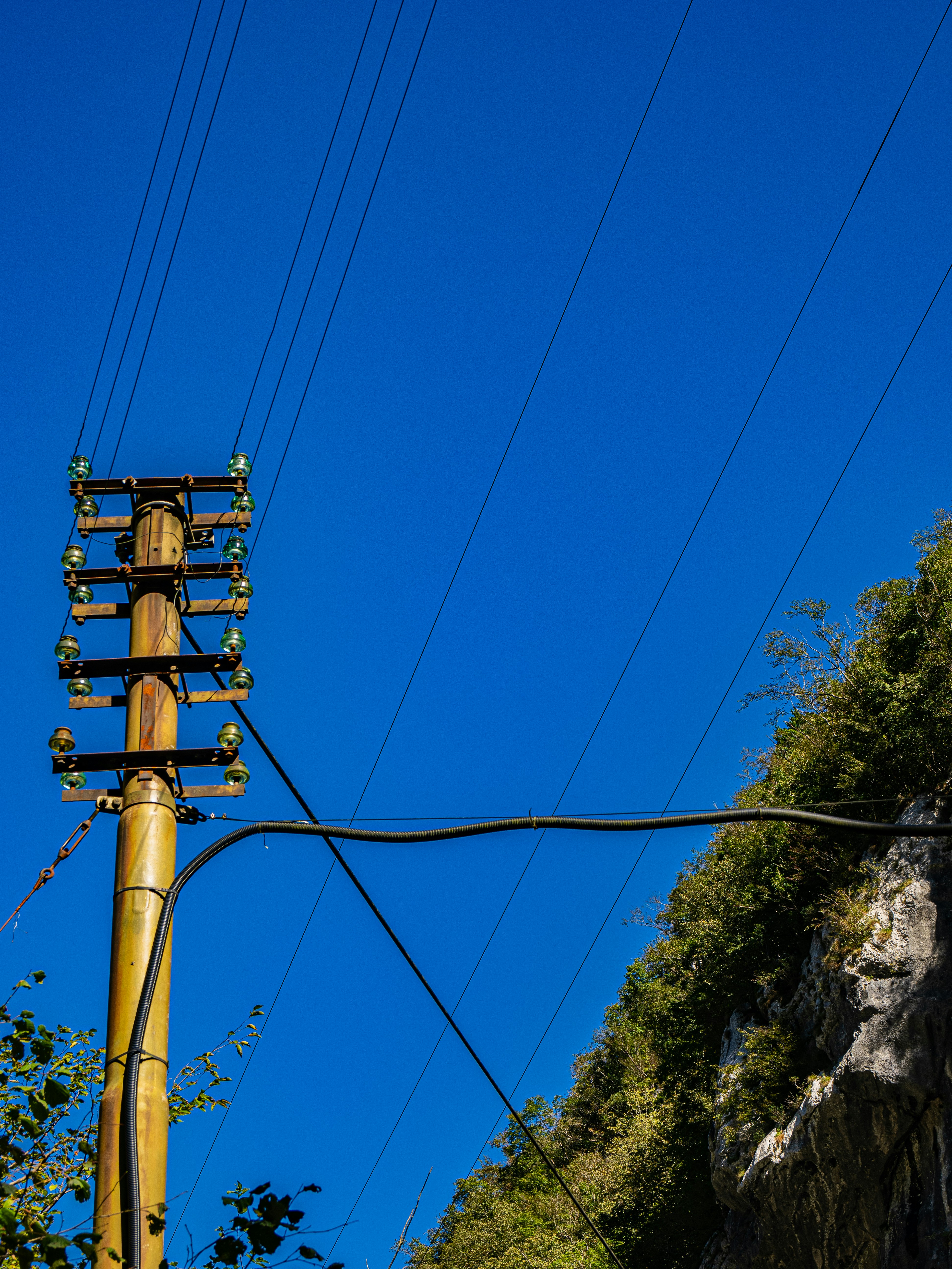 Photo by gopitri_prem