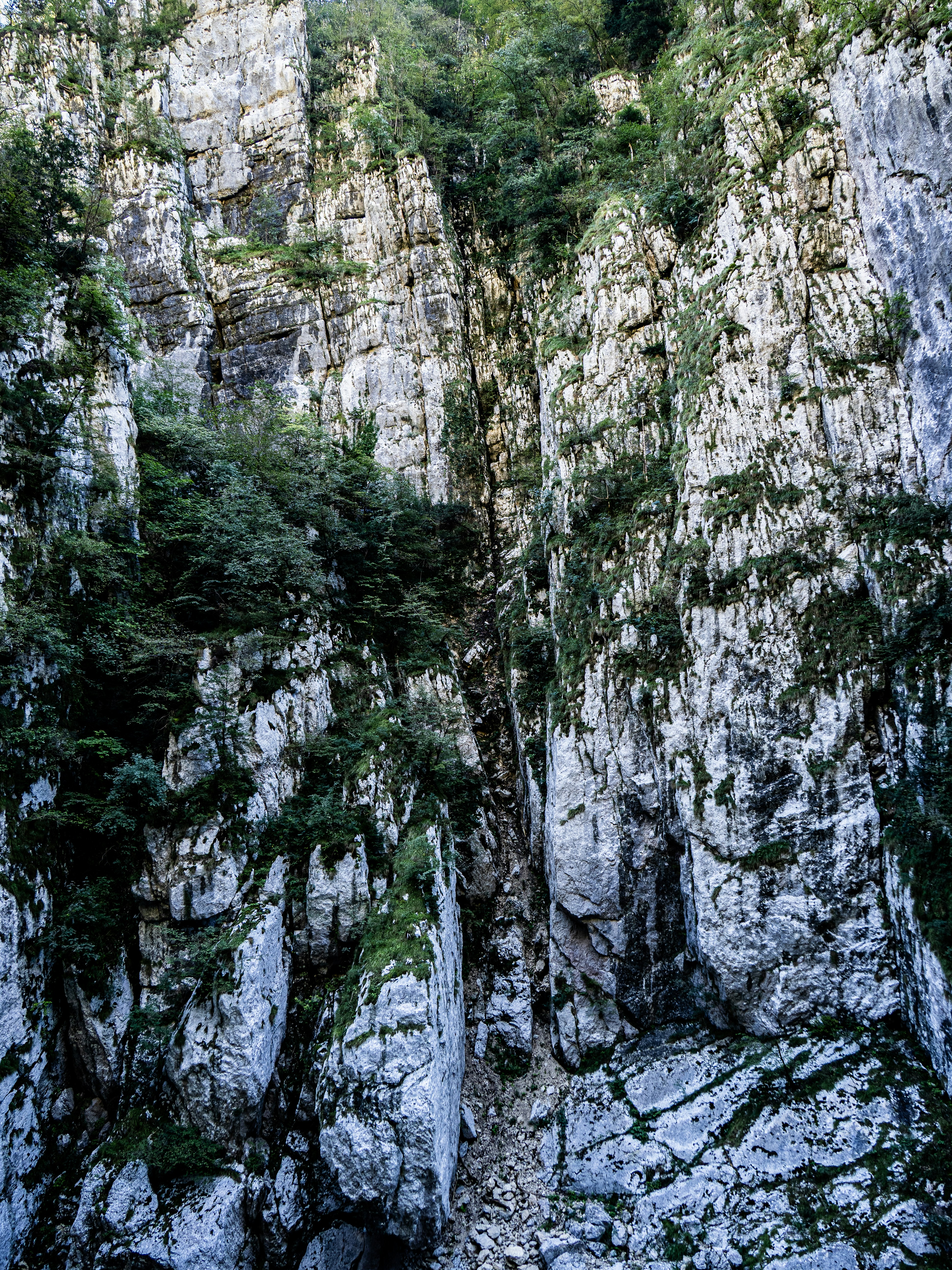 Photo by gopitri_prem