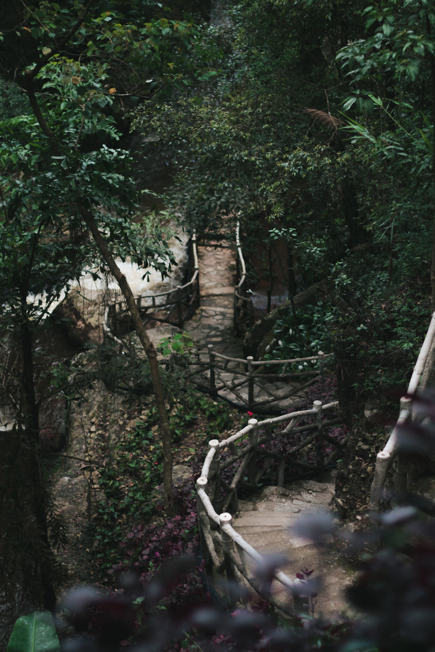 Forest path at Datanla