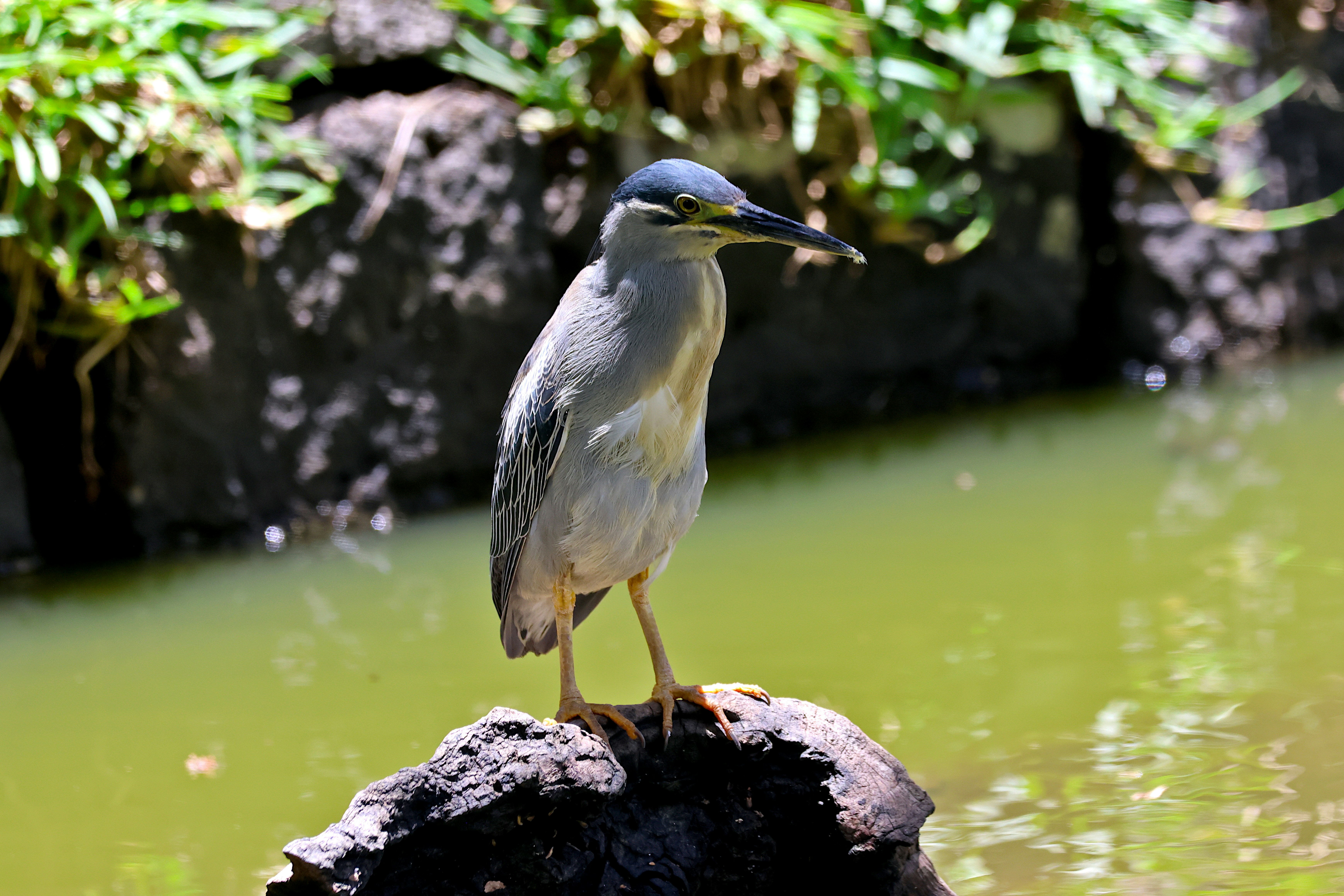Photo by feiffert