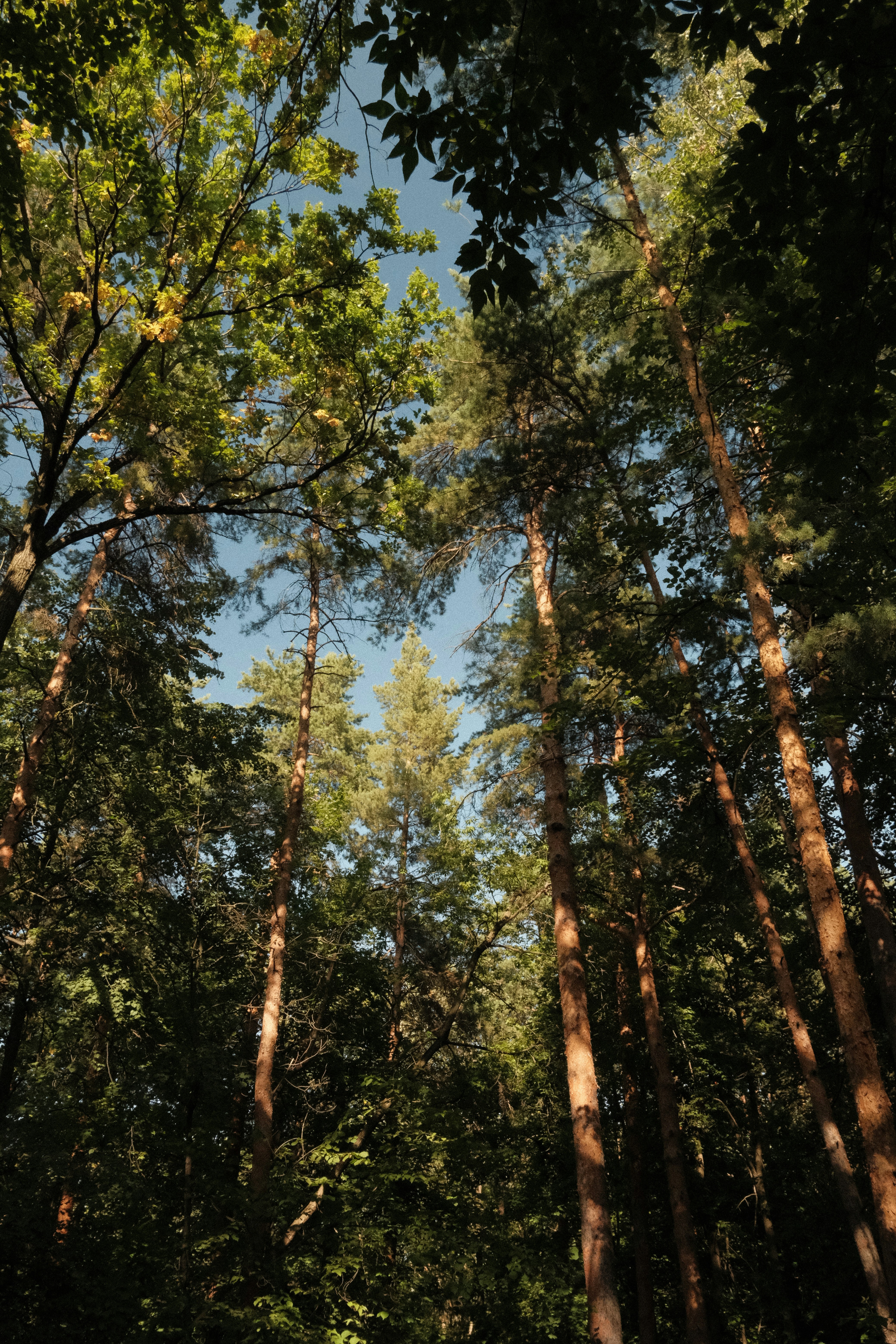 Photo by tatianarudneva