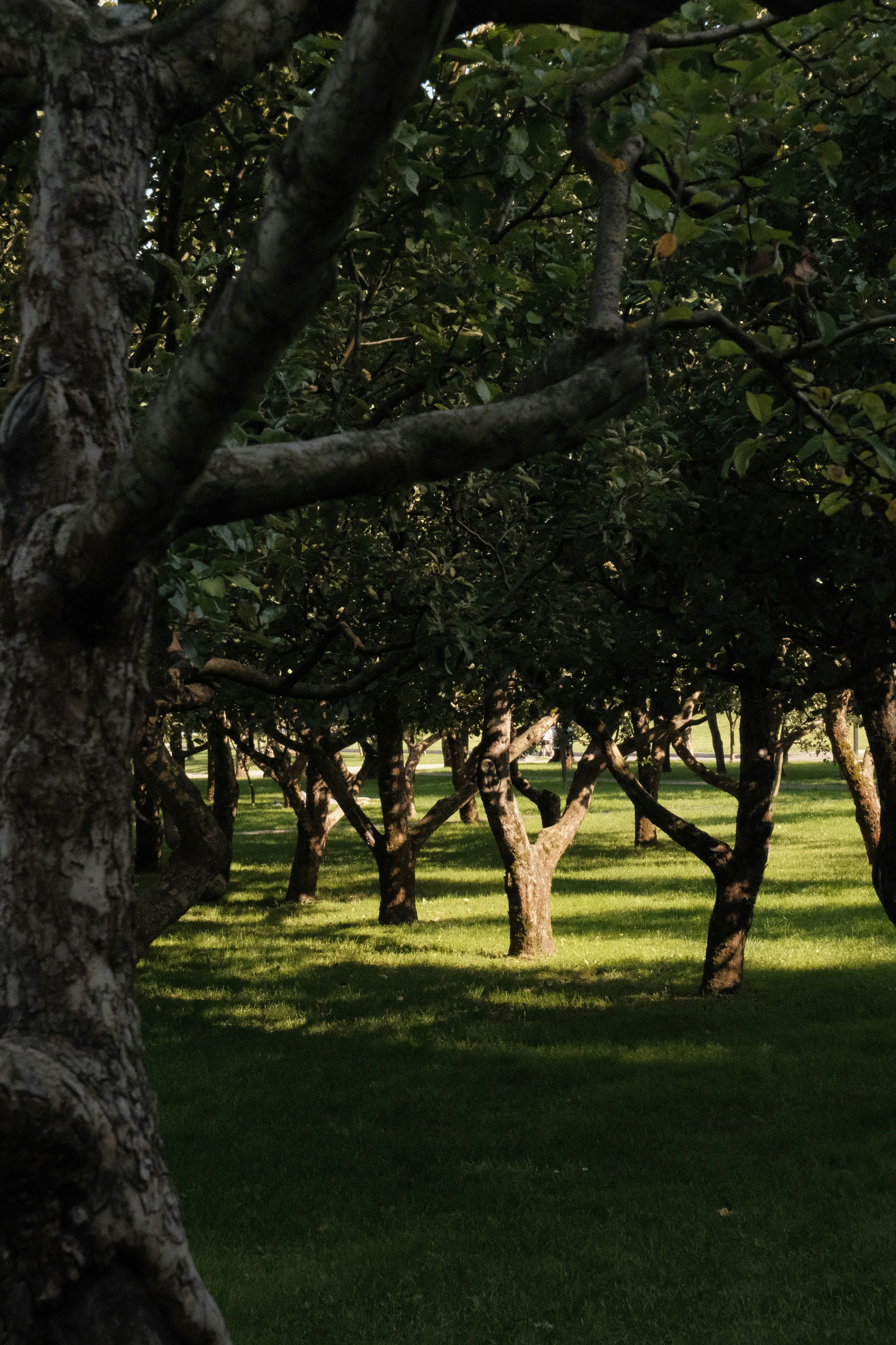 Photo by tatianarudneva