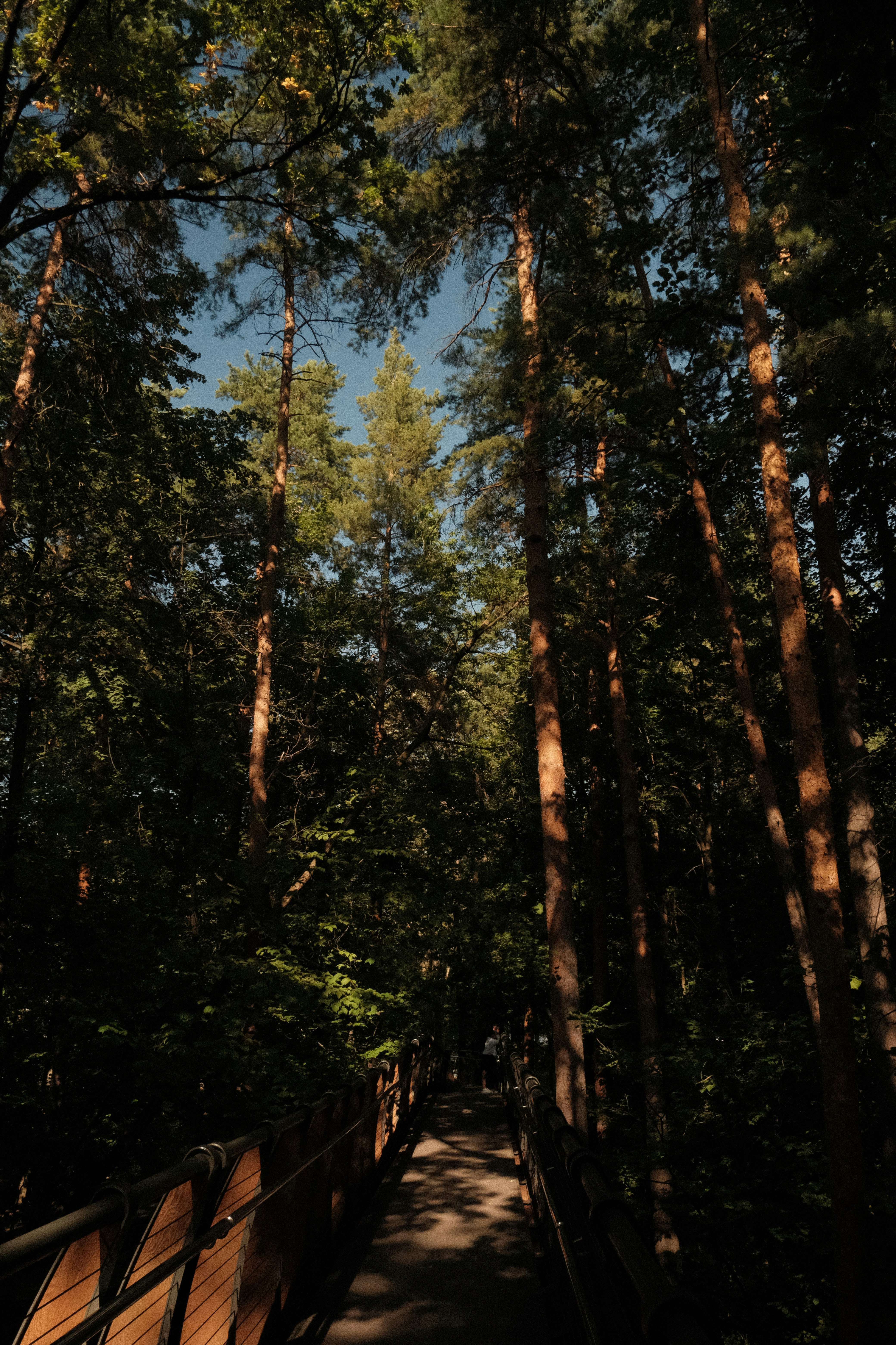 Photo by tatianarudneva