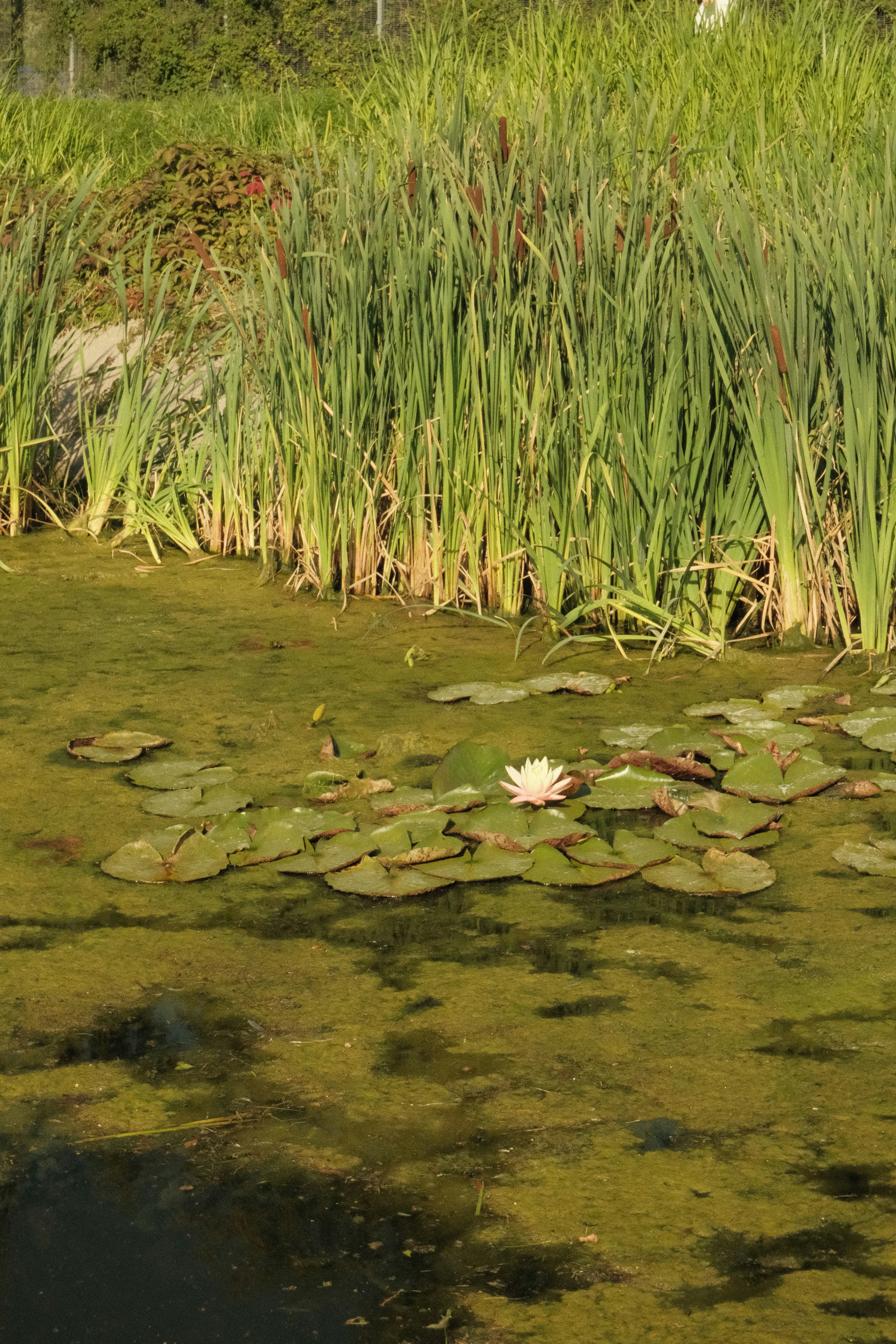 Photo by tatianarudneva