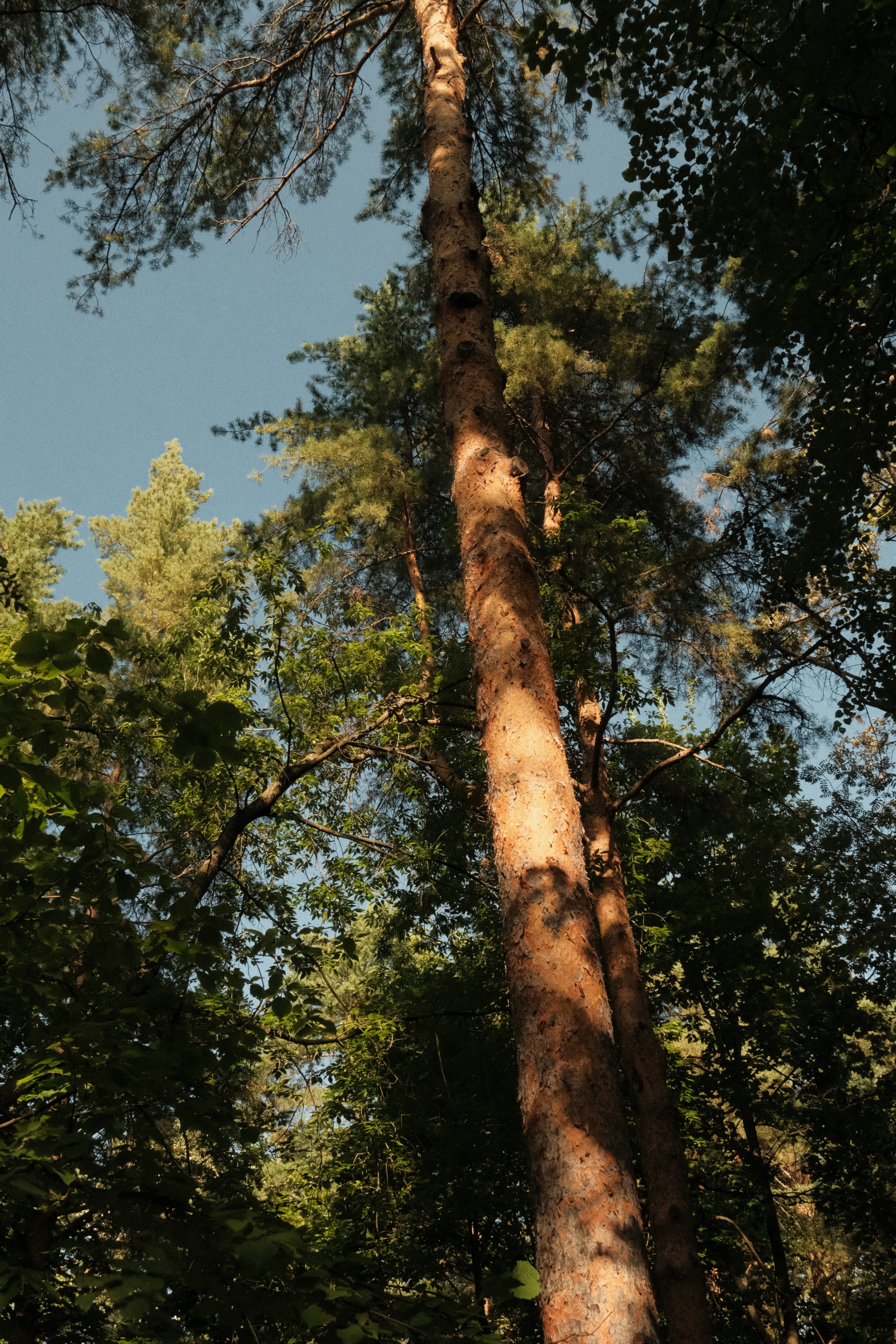 Photo by tatianarudneva