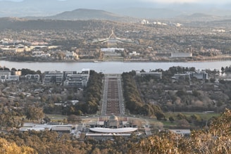 Canberra urban forest, parliament in background