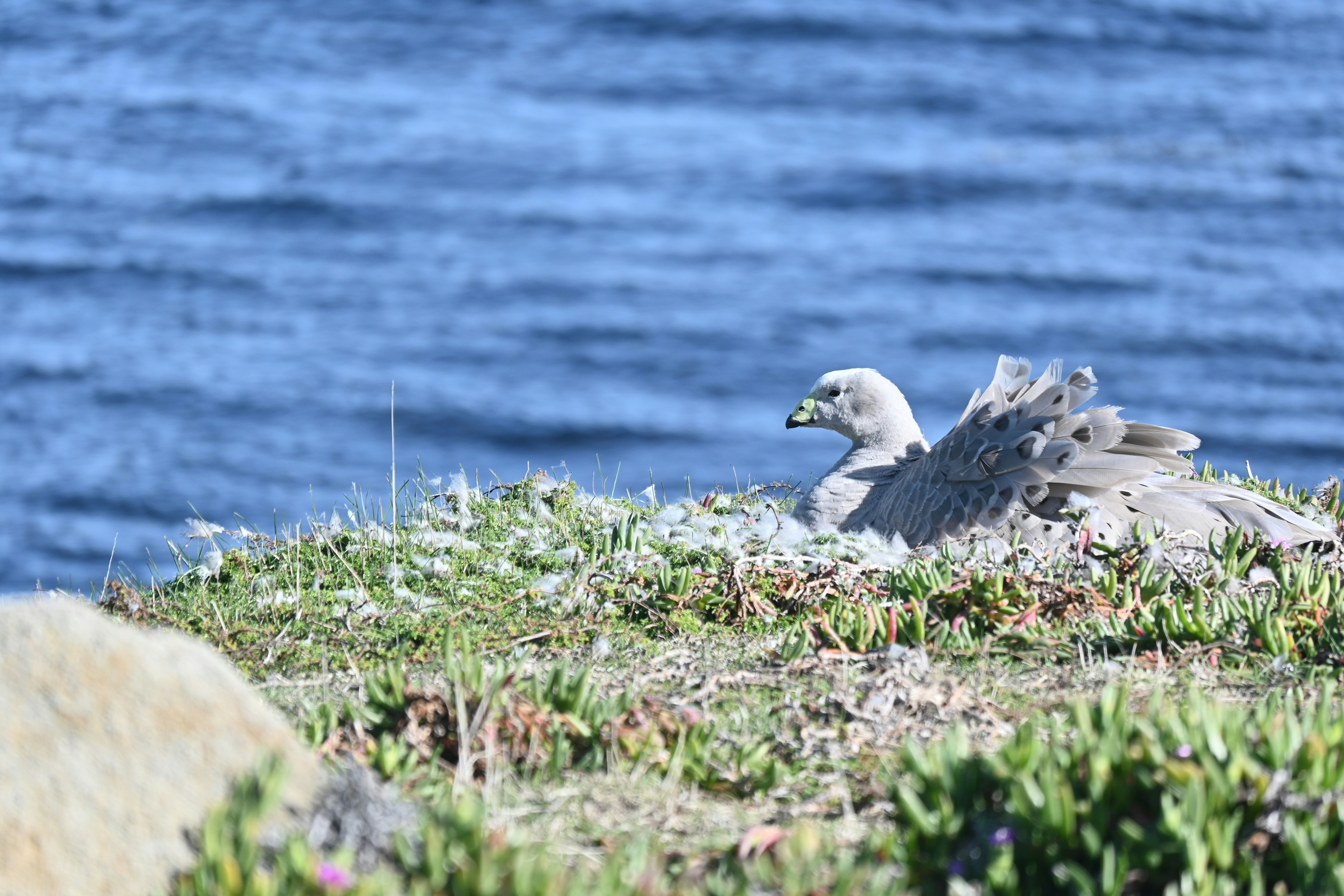 Photo by adriansiaril