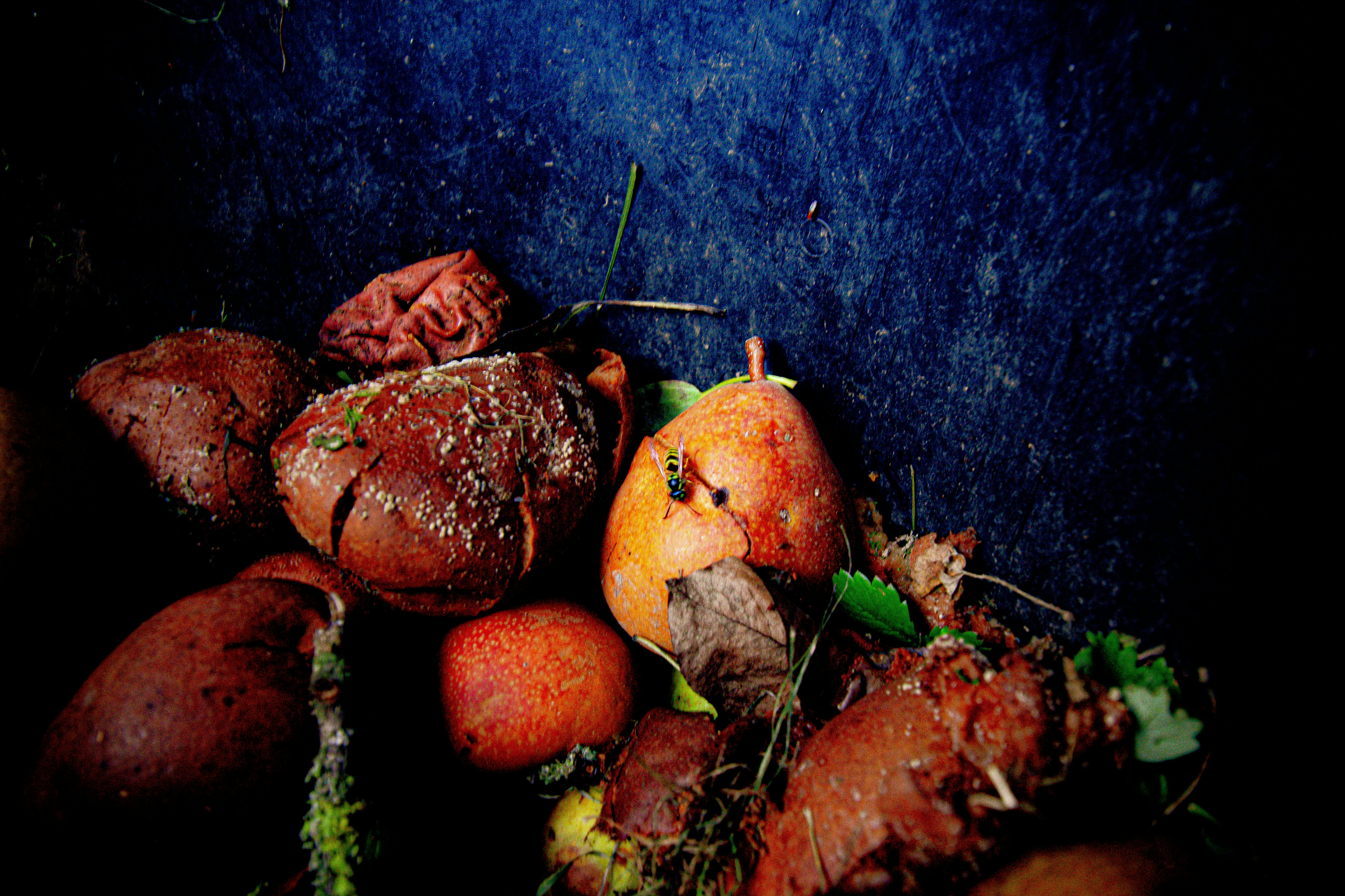 Lomo de Cerdo Relleno de Ciruelas y Hierbas con Zanahorias Asadas