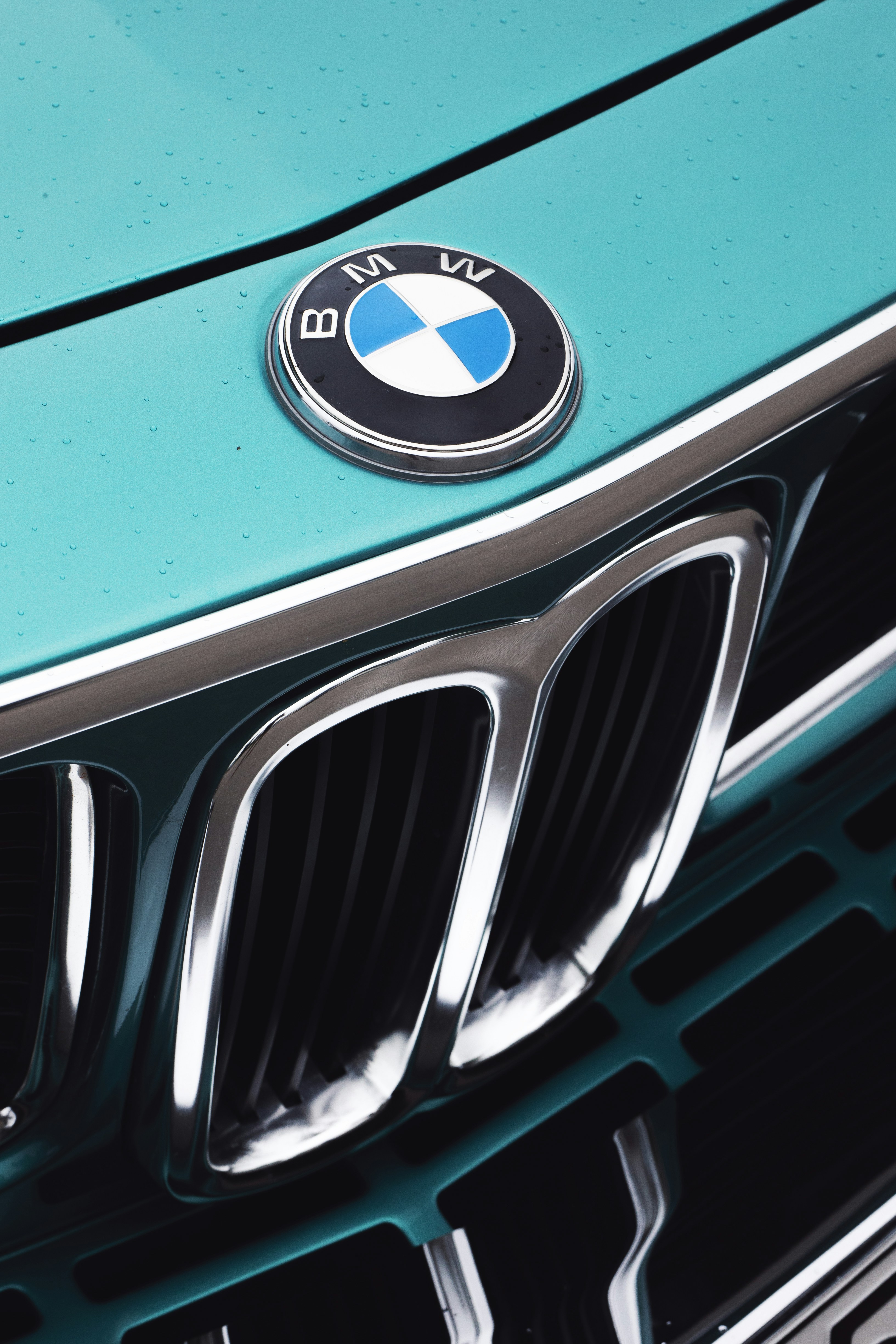 Close up of a teal BMW car grille and emblem