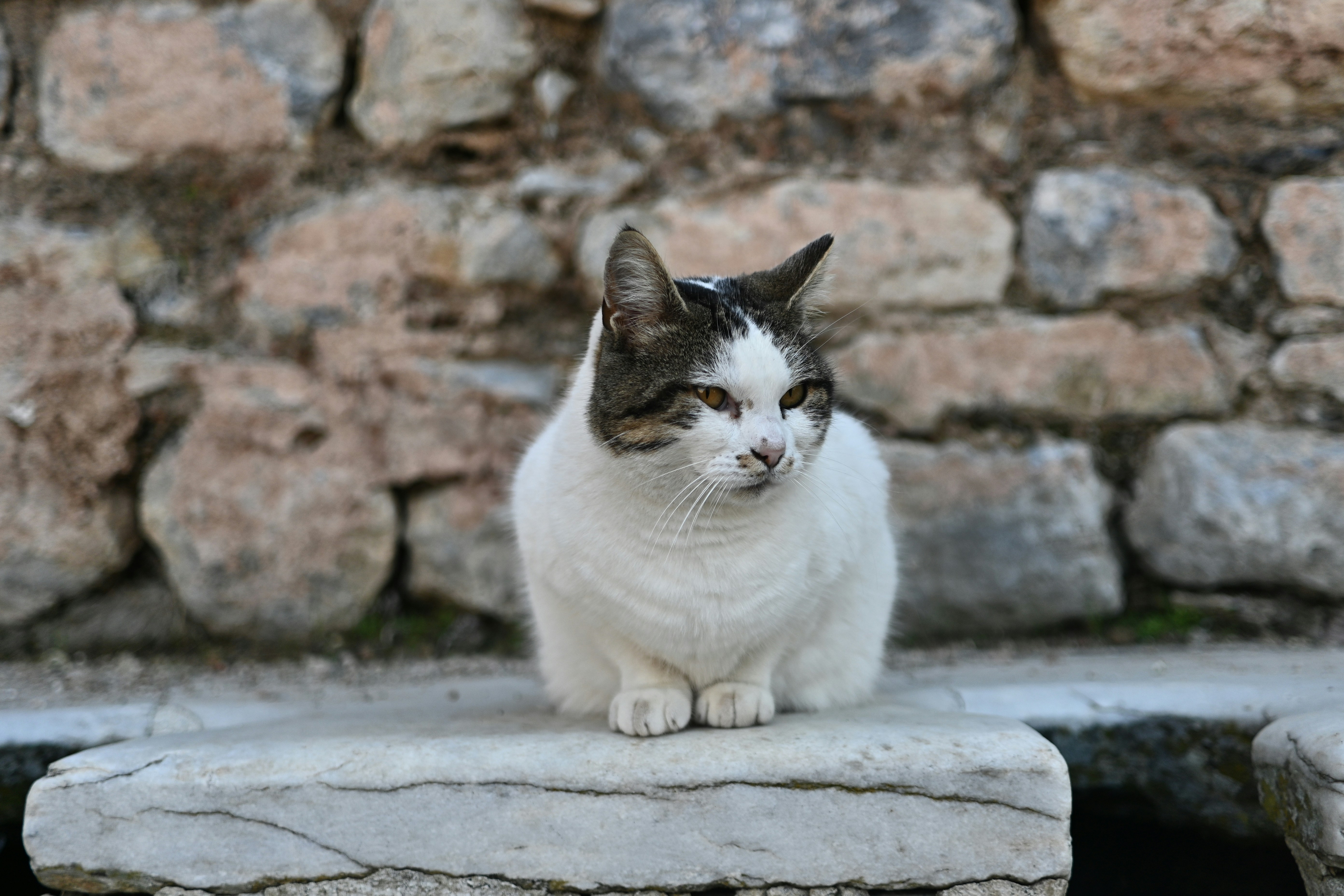 Photo by adriansiaril